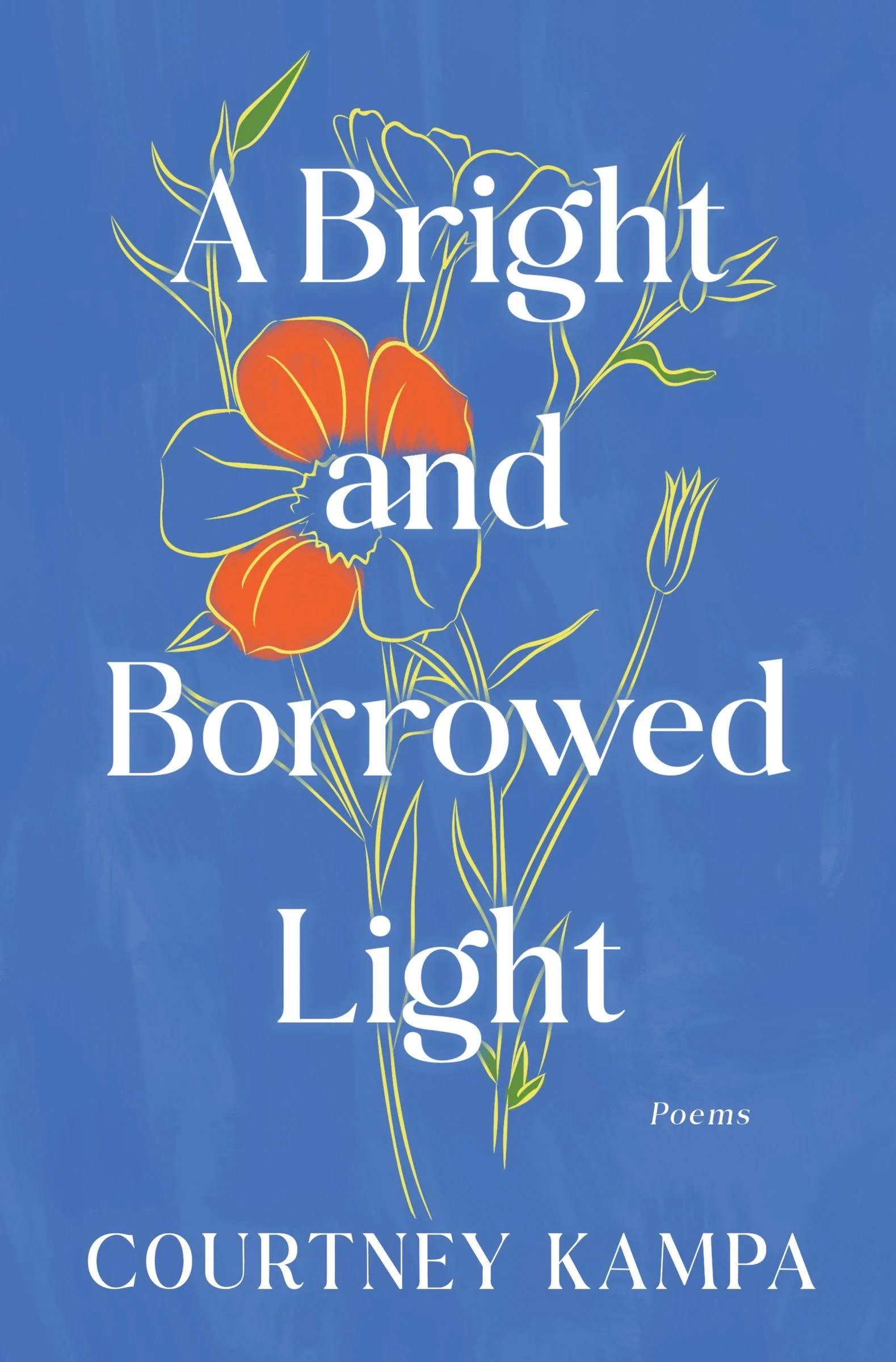 A Bright and Borrowed Light - Image 2