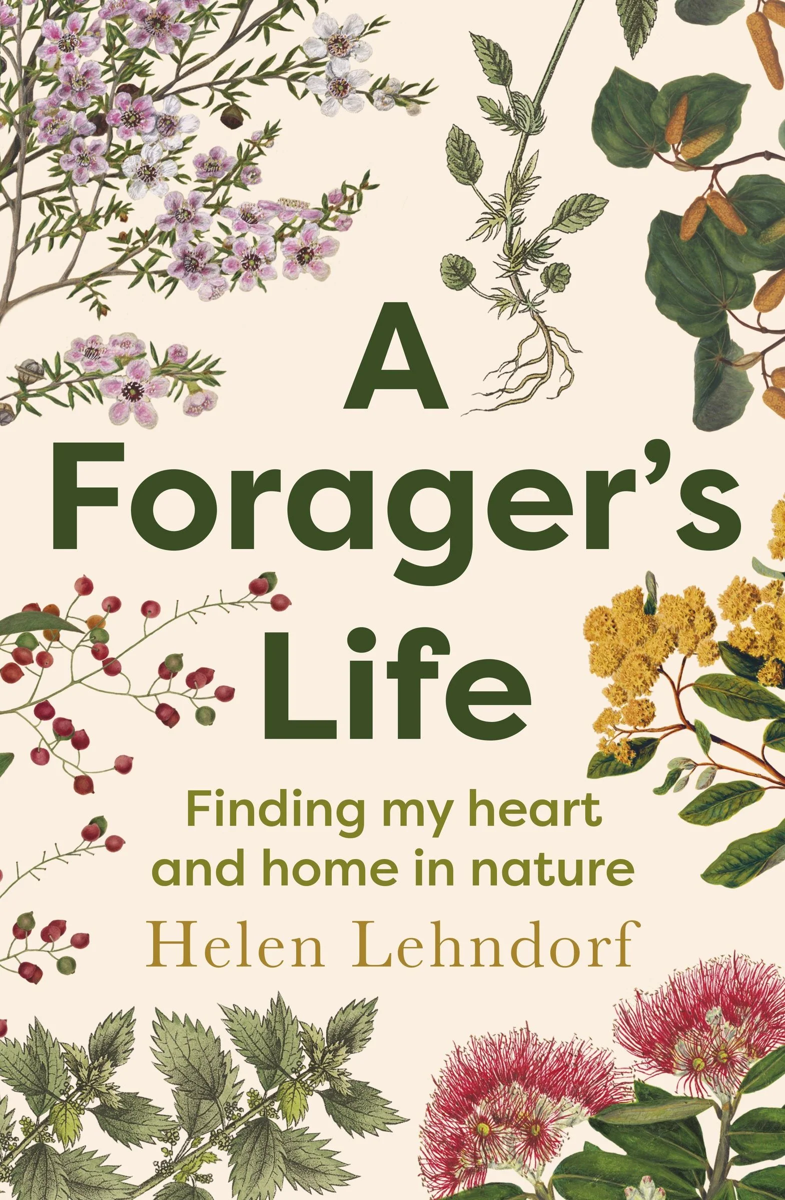 A Forager's Life: A tender and spellbinding debut memoir - Image 2