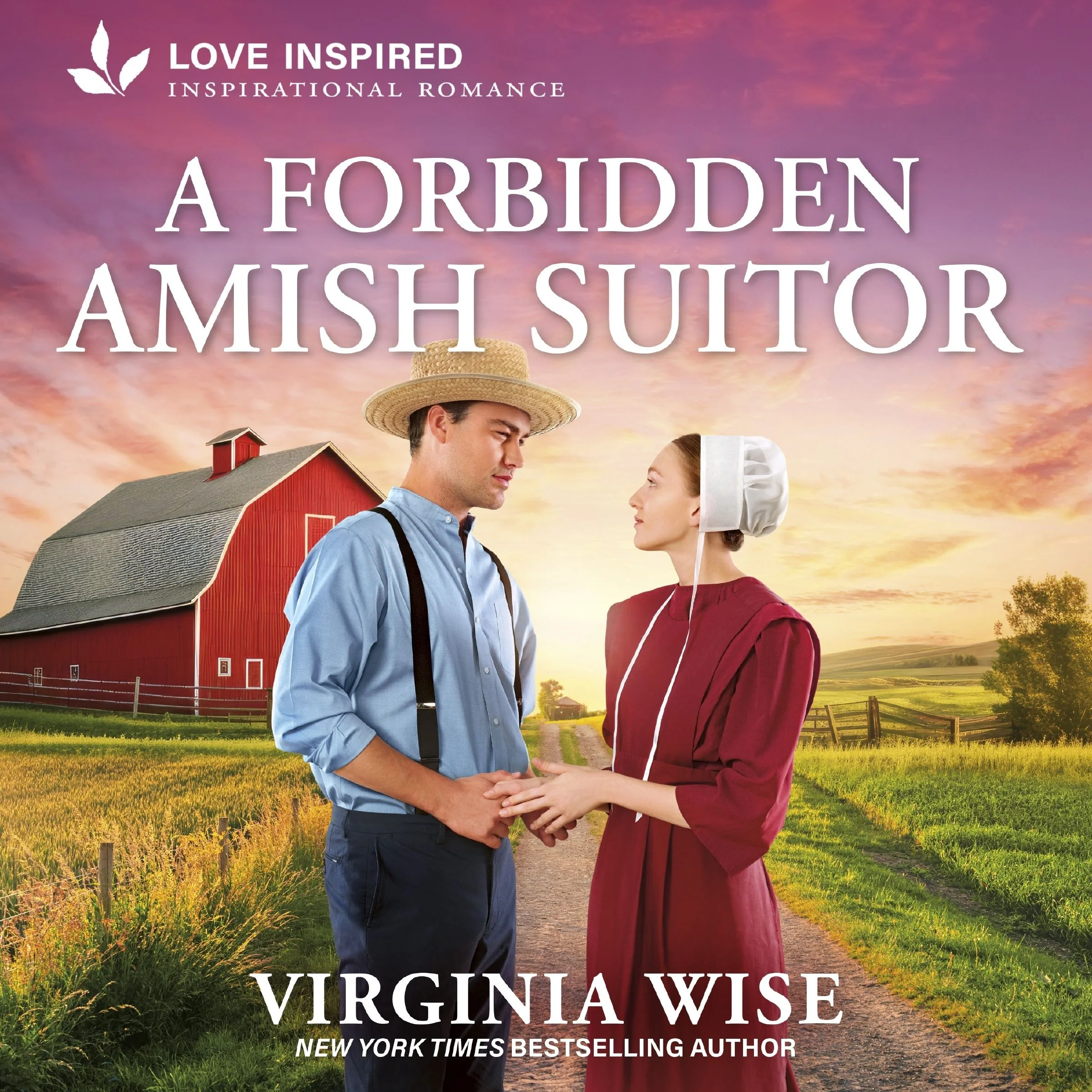 A Forbidden Amish Suitor - Image 2