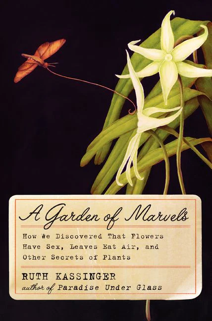 A Garden of Marvels - Image 2