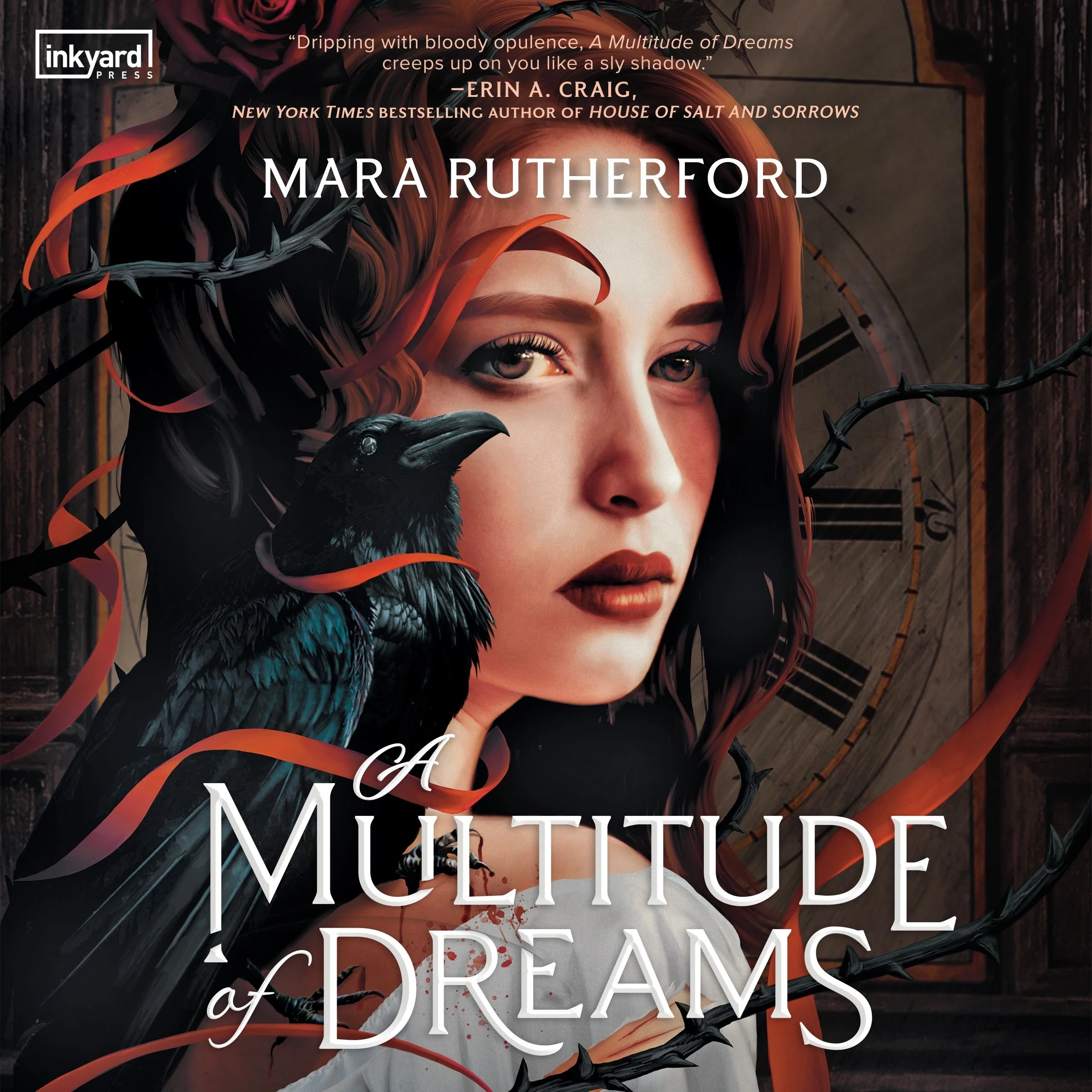 A Multitude of Dreams - Image 4