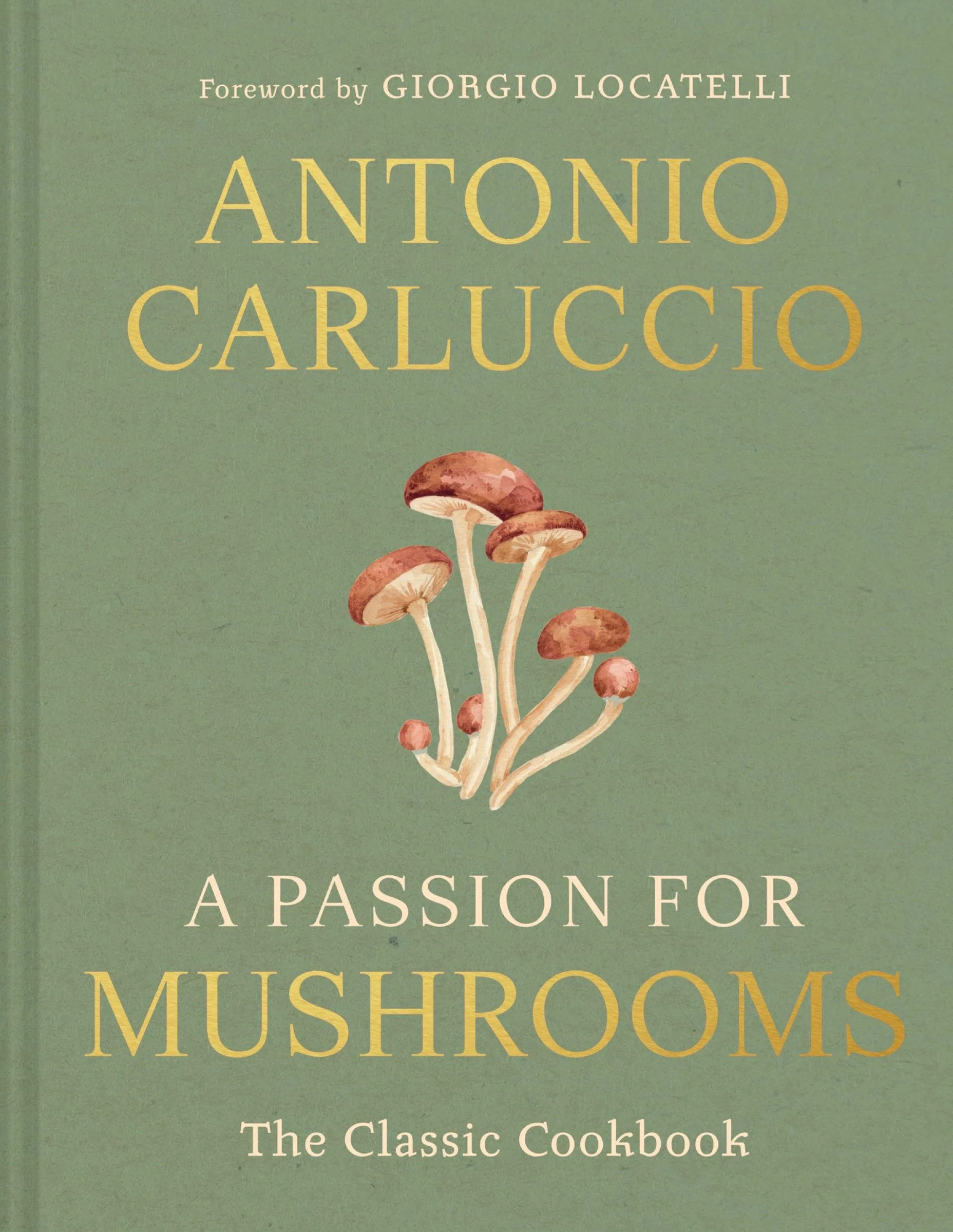 A Passion for Mushrooms - Image 2