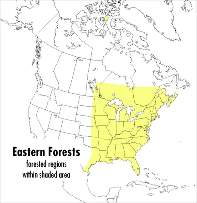 A Peterson Field Guide To Eastern Forests - Image 2