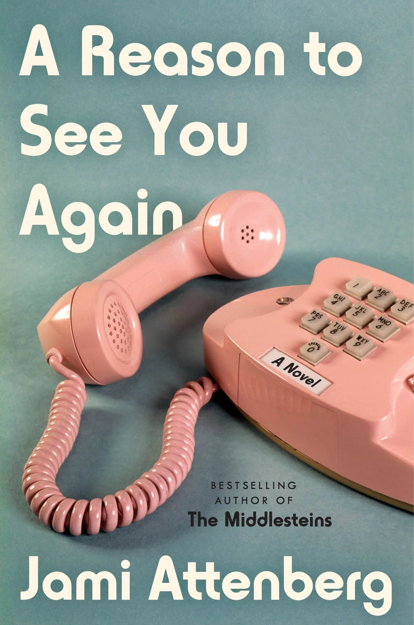 A Reason to See You Again - Image 2