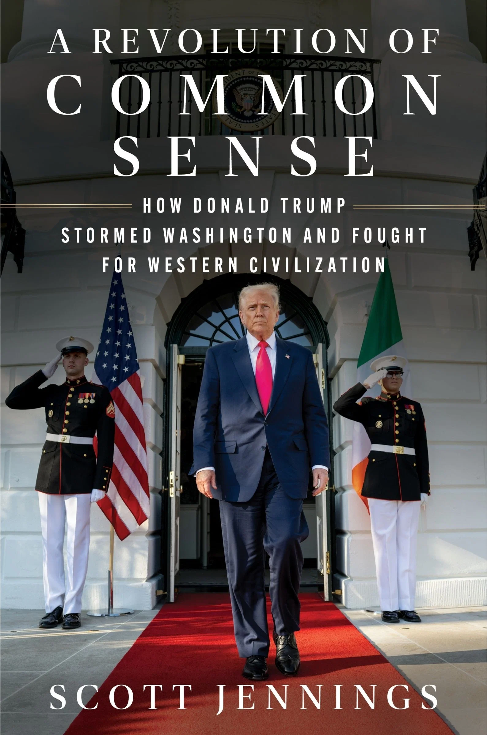 A Revolution of Common Sense - Image 3
