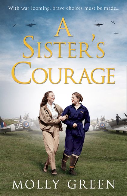 A Sister’s Courage - Image 2