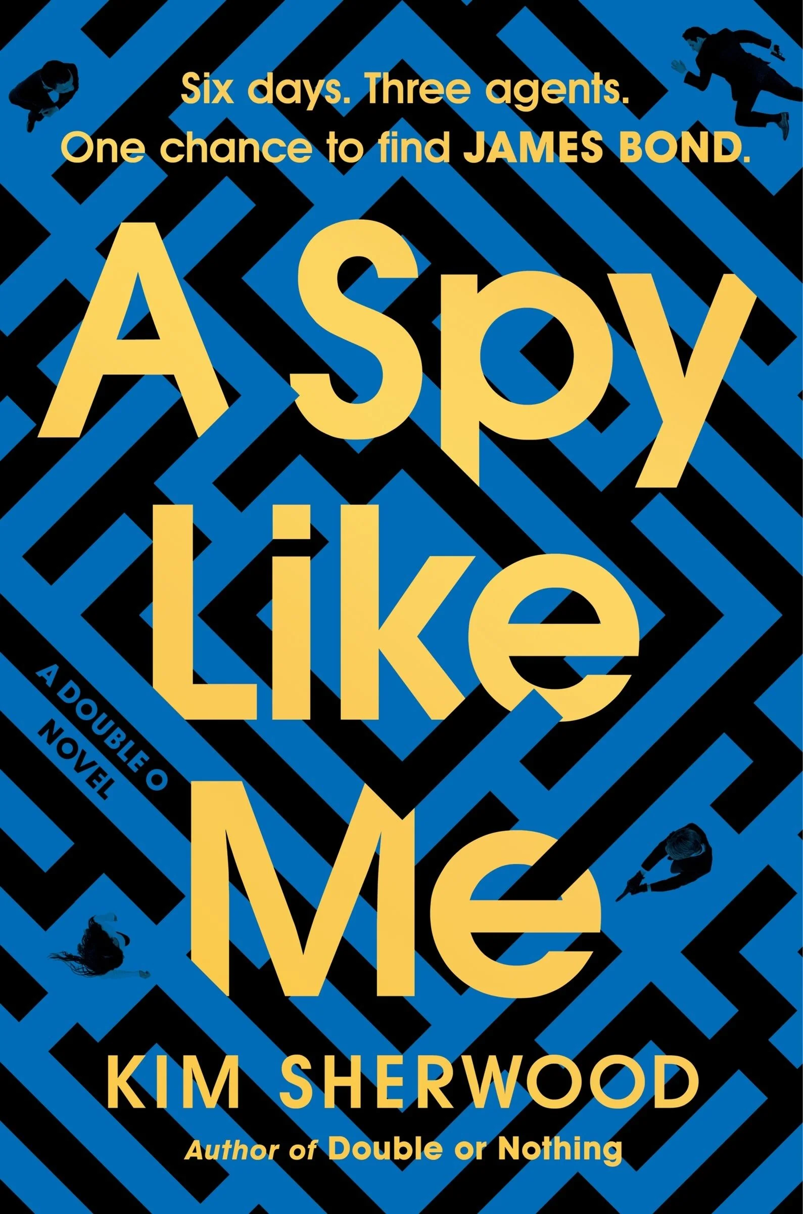 A Spy Like Me - Image 2
