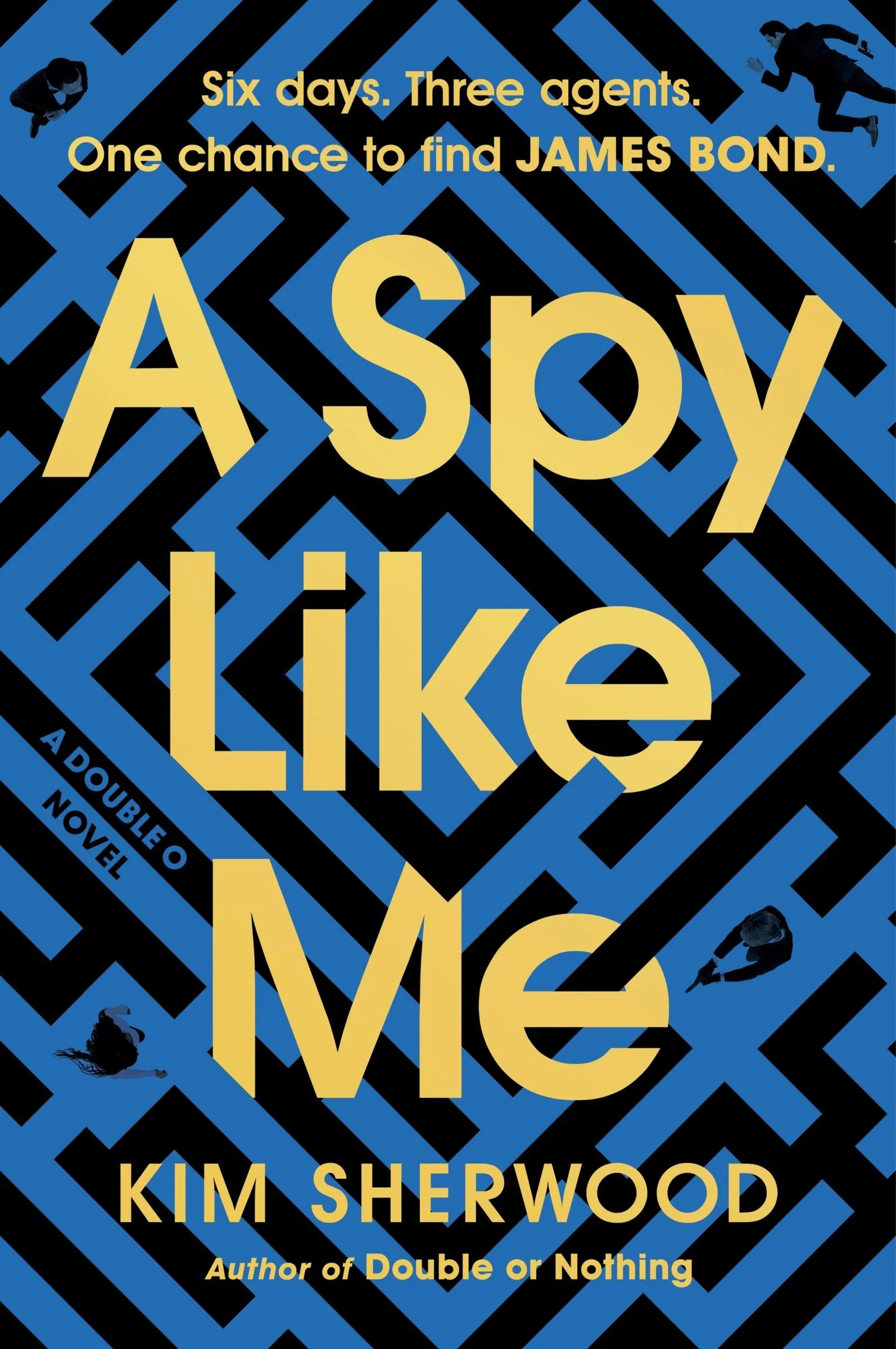A Spy Like Me - Image 4