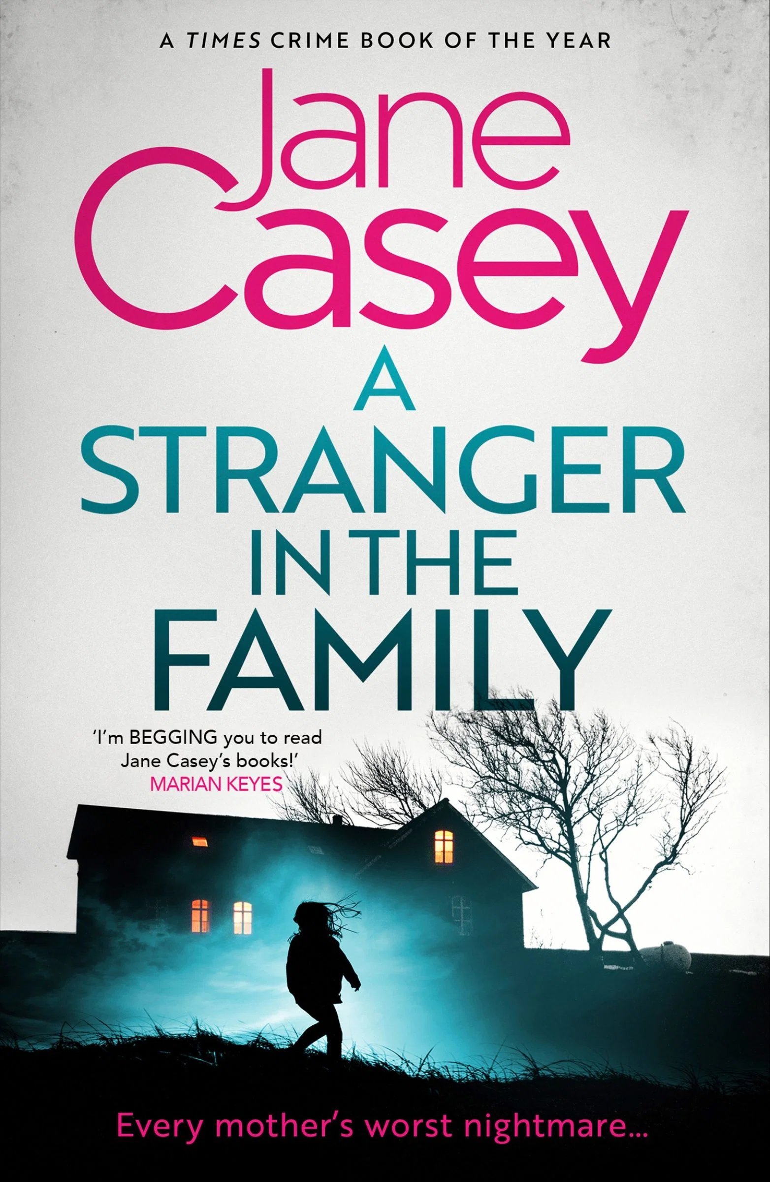 A Stranger in the Family (Maeve Kerrigan, Book 11) - Image 3