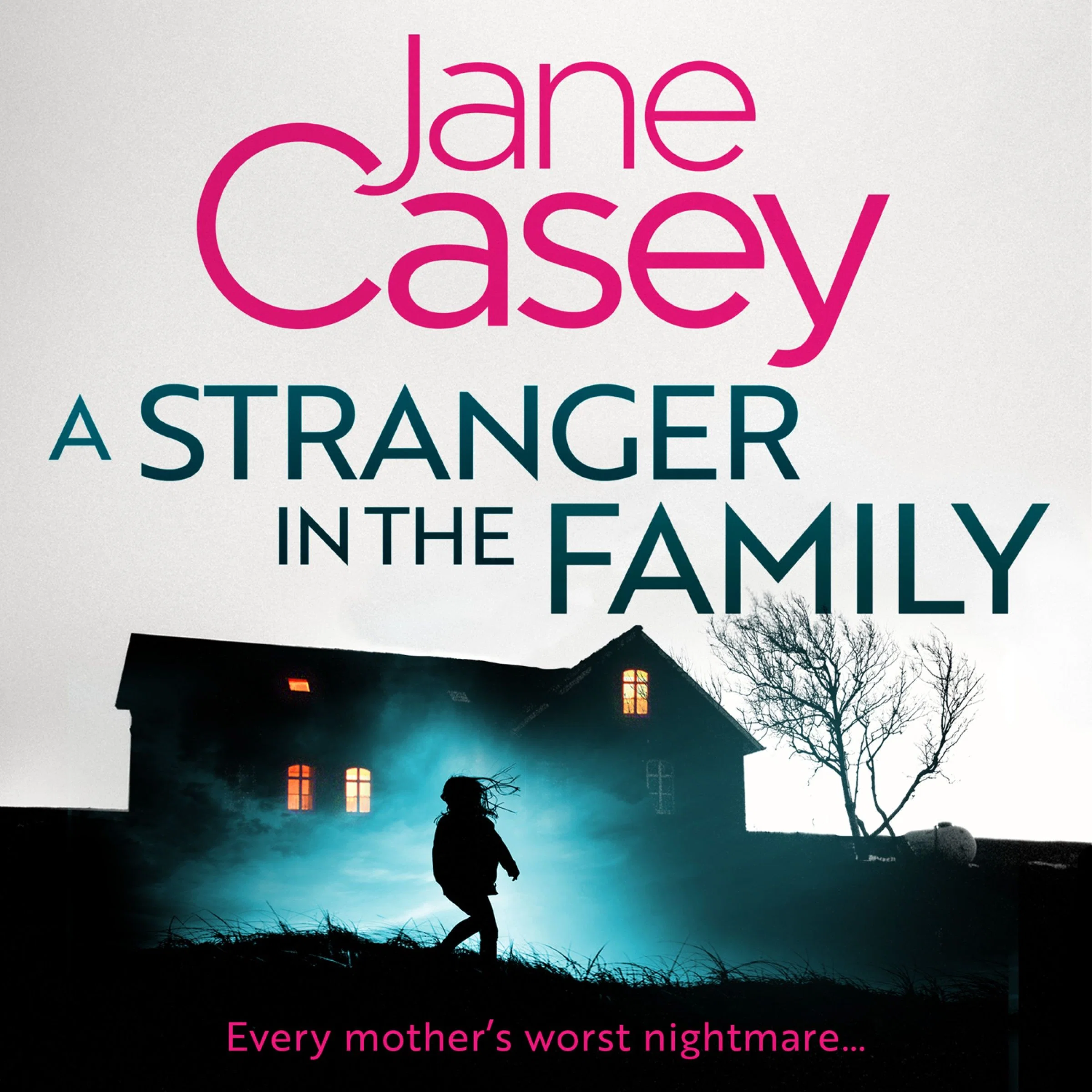 A Stranger in the Family (Maeve Kerrigan, Book 11) - Image 4