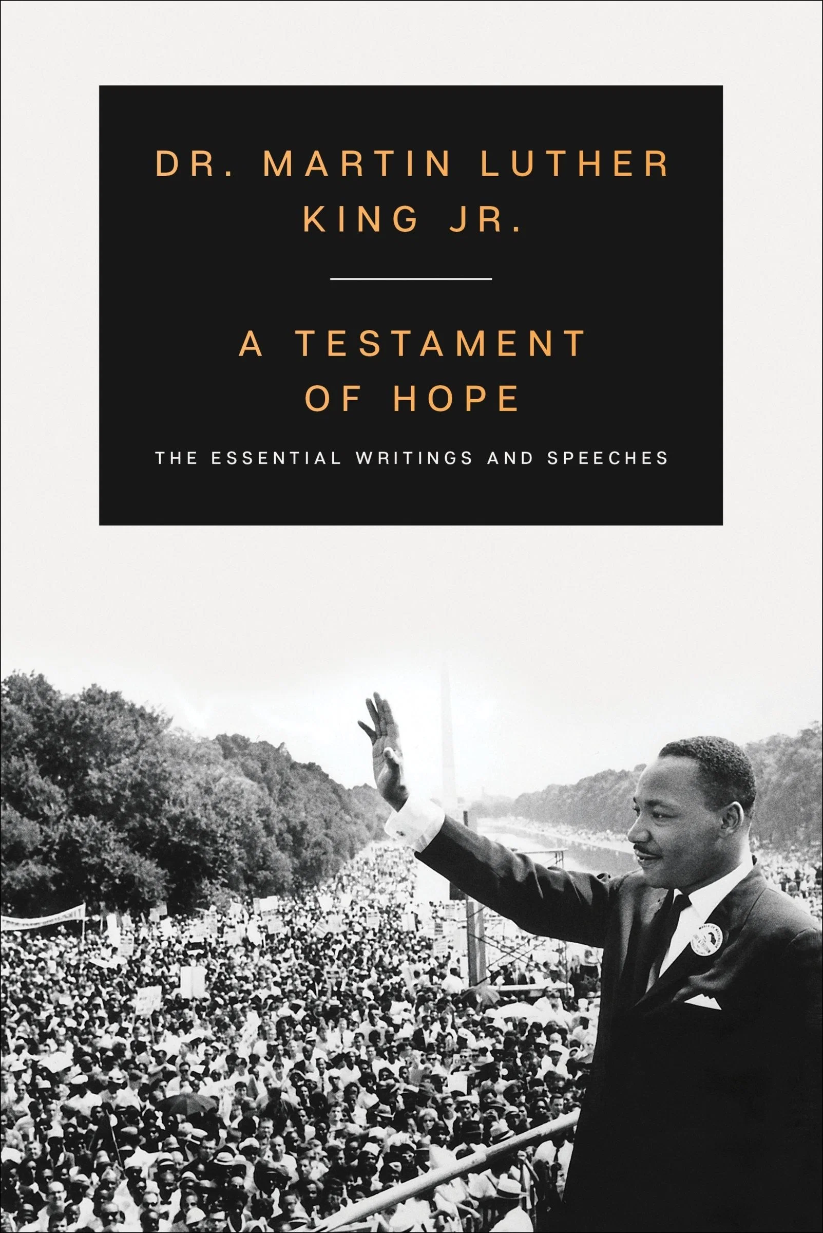 A Testament of Hope - Image 2