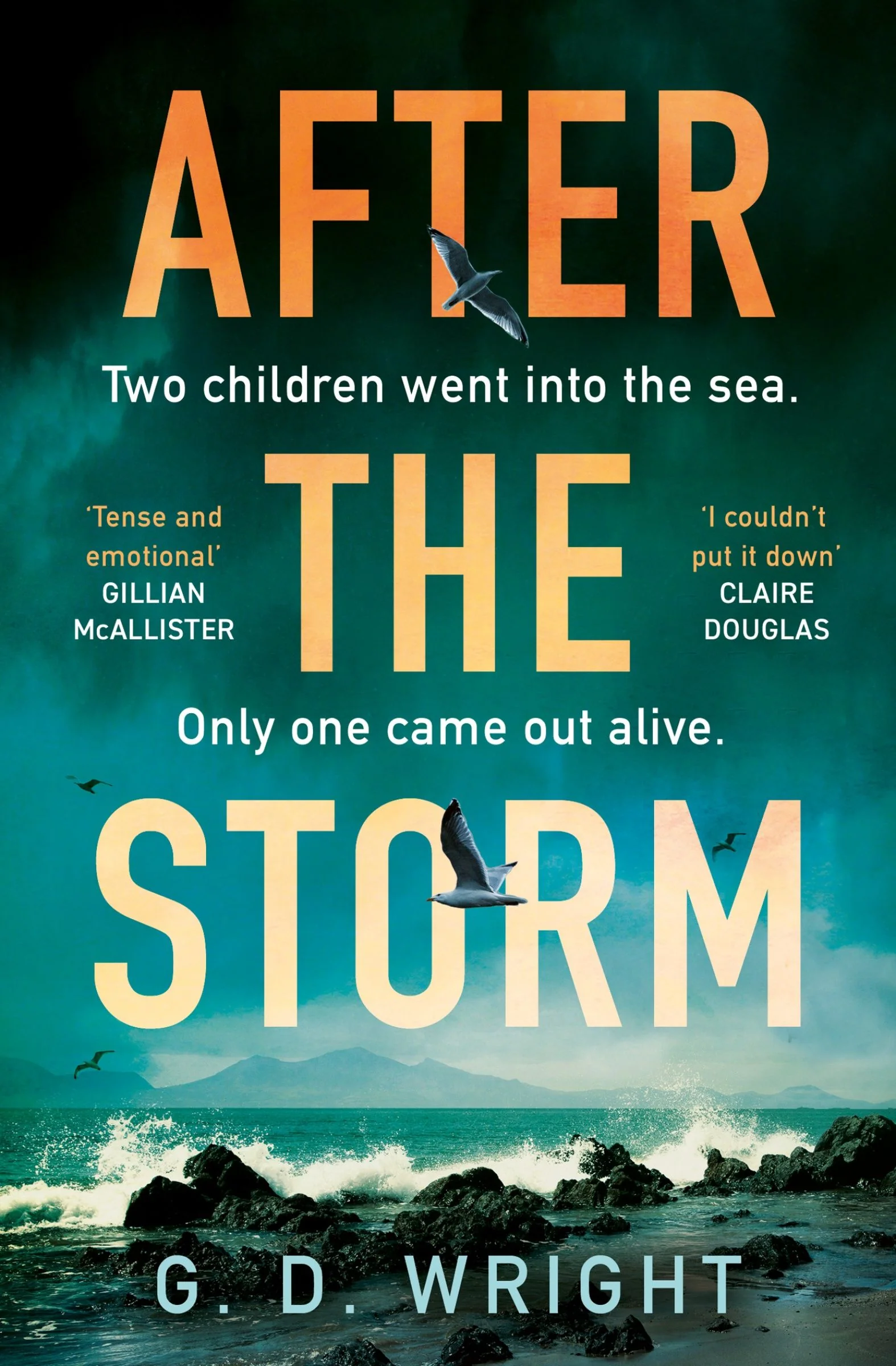 After the Storm - Image 3