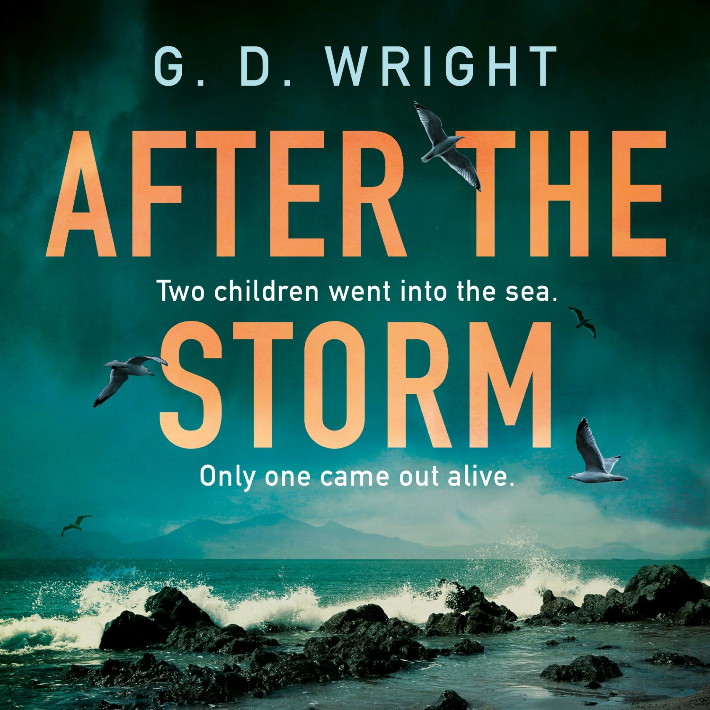 After the Storm - Image 4