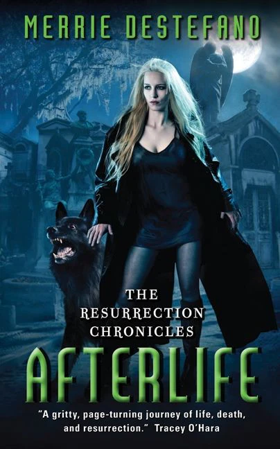 Afterlife - Image 2