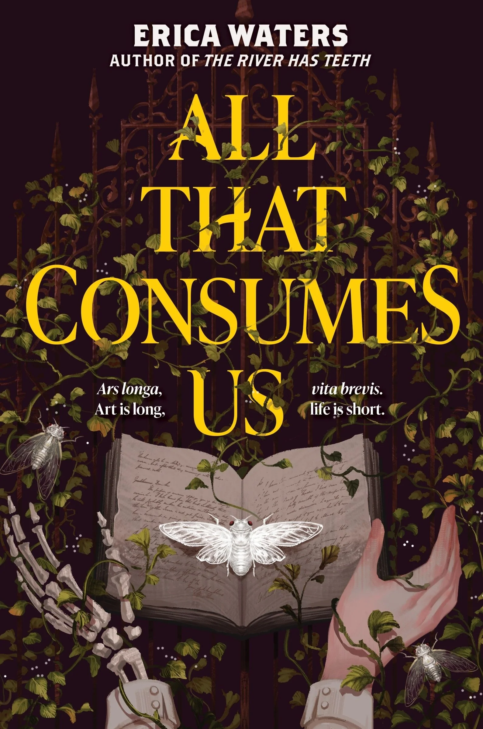 All That Consumes Us - Image 3