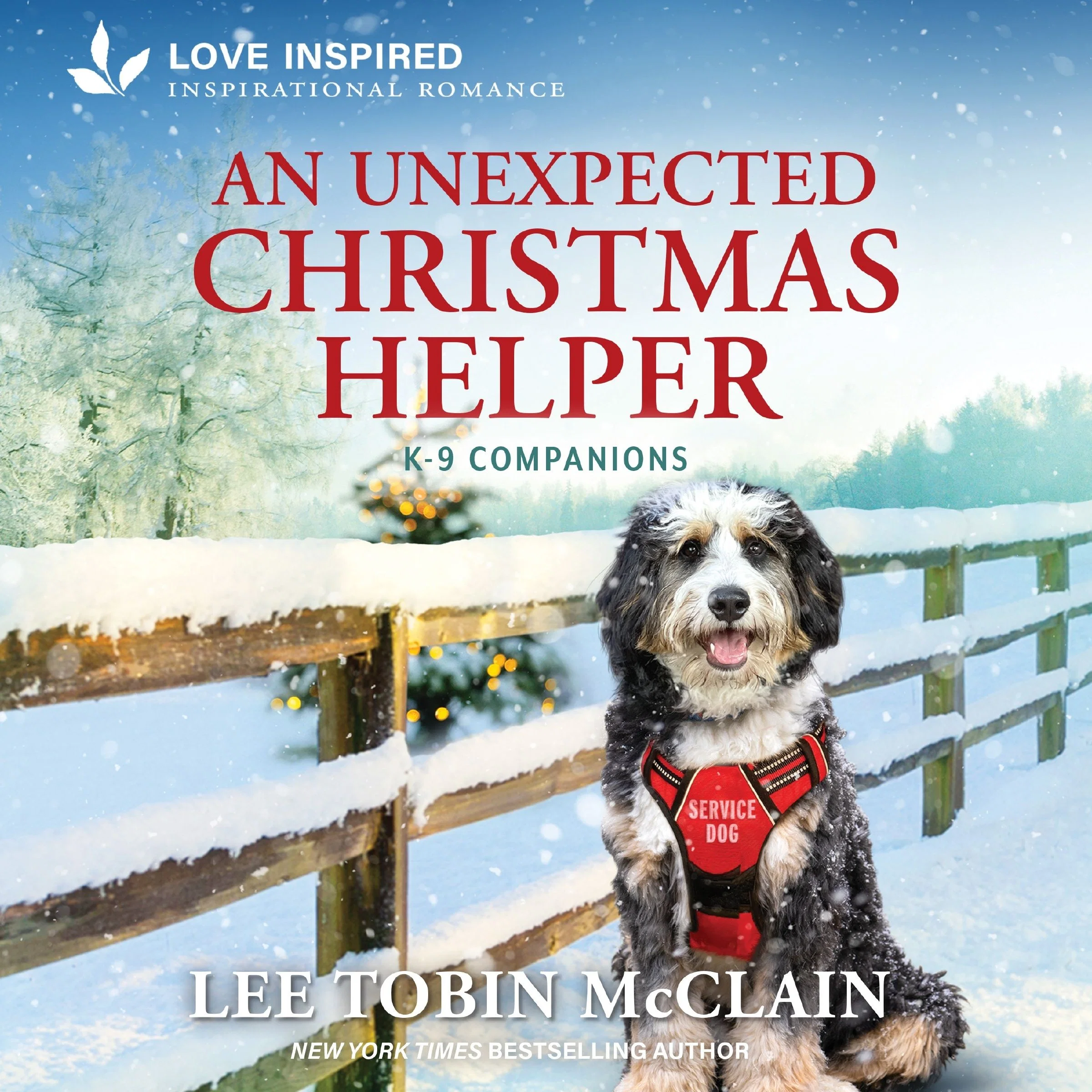 An Unexpected Christmas Helper - Image 2