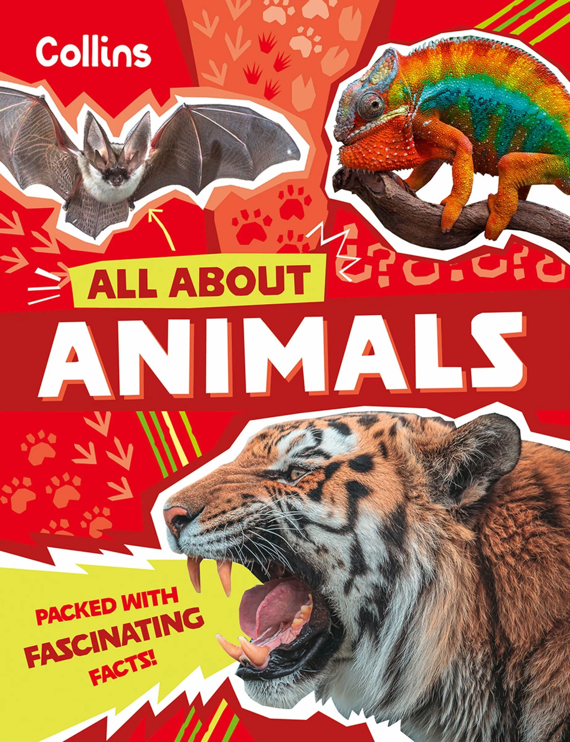 Animals: Discover fascinating facts about wildlife (All About) - Image 2