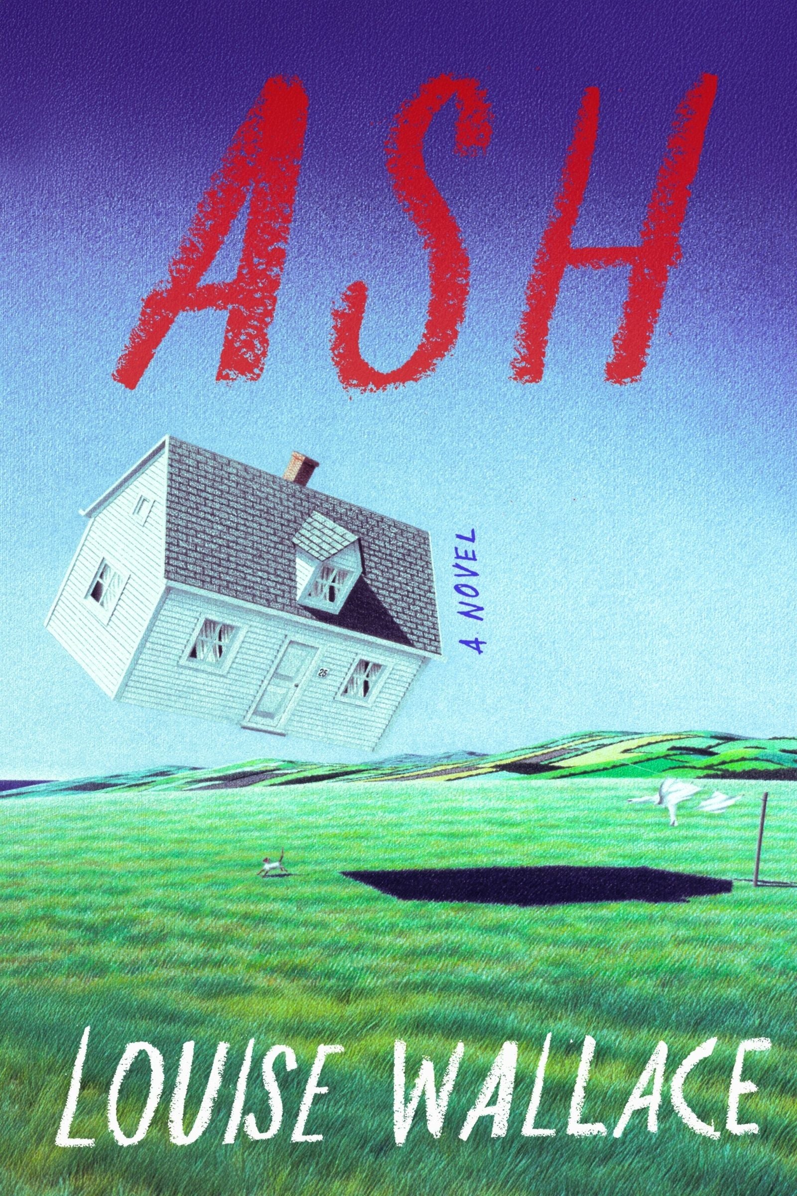 Ash - Image 2