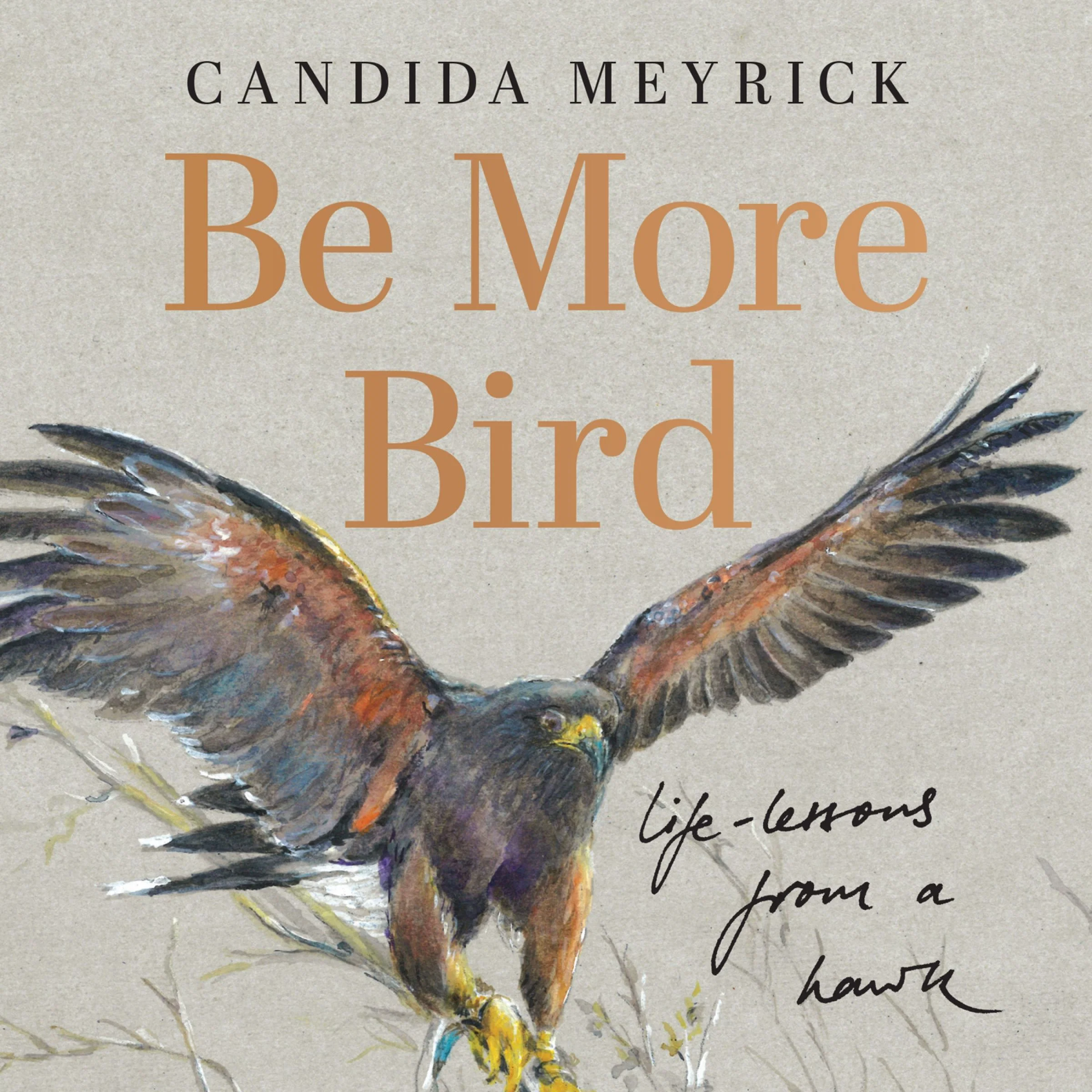 Be More Bird: Life Lessons from a Harris Hawk - Image 2