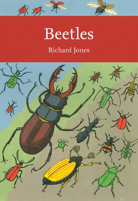 Beetles - Image 2