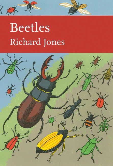 Beetles - Image 3