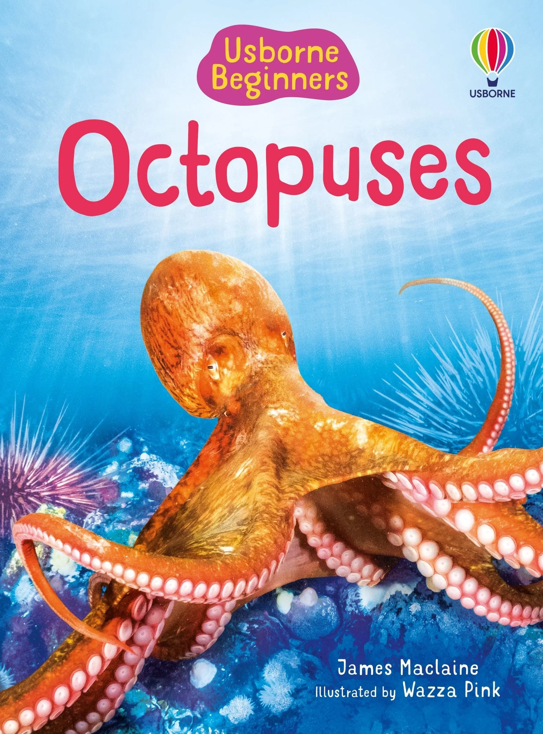Beginners Octopuses - Image 2