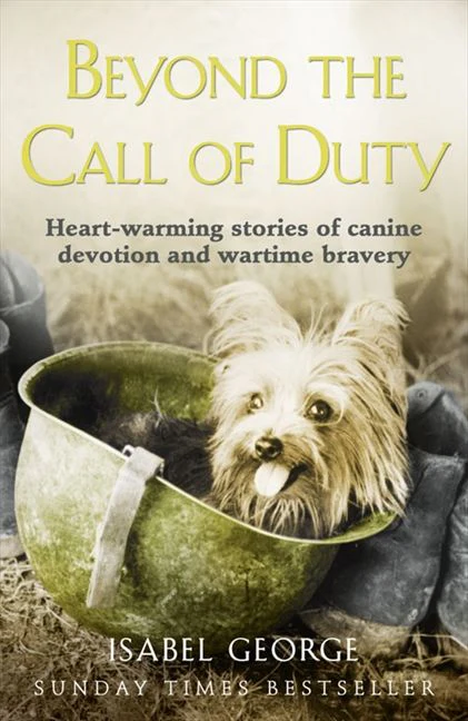Beyond the Call of Duty - Image 2