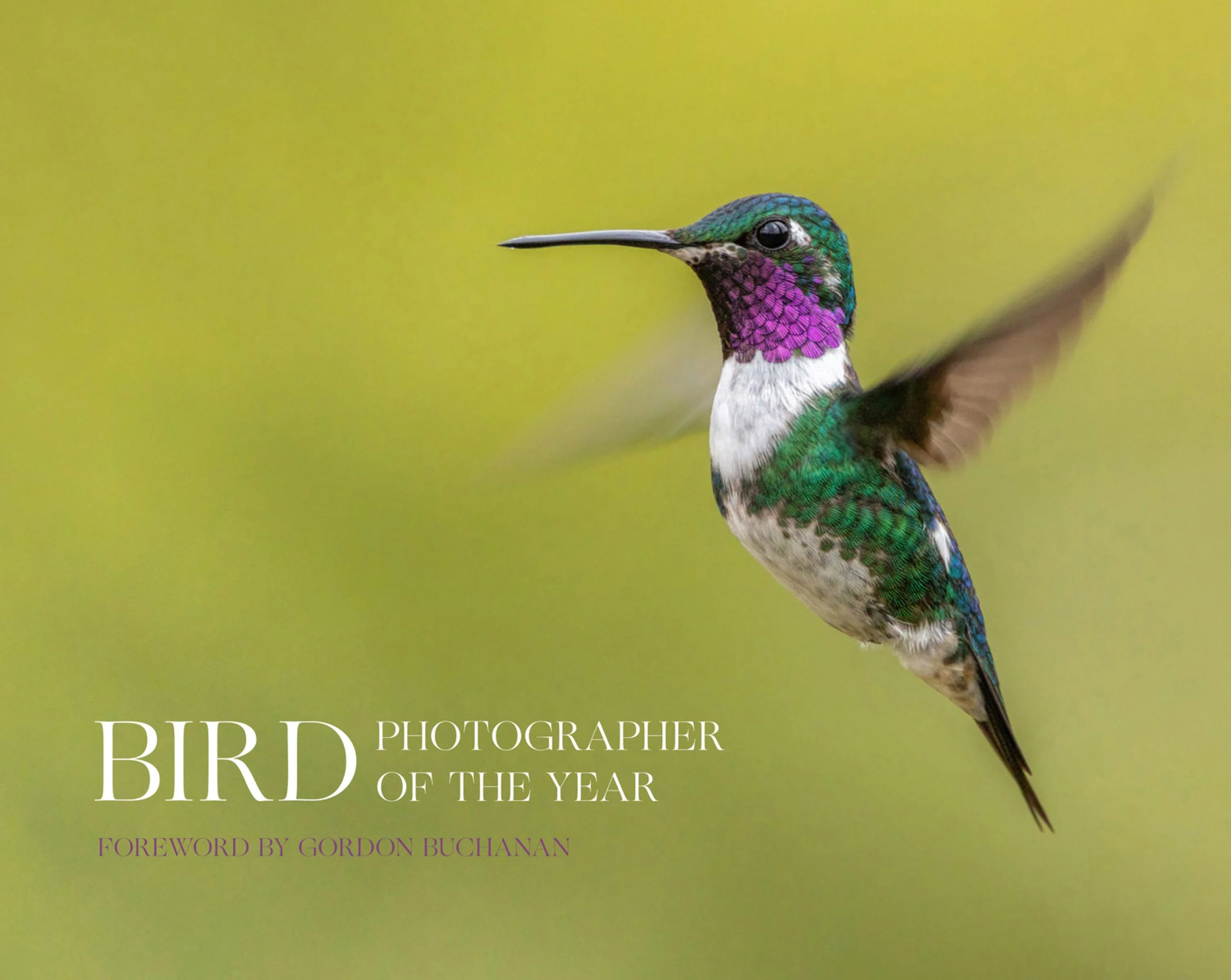 Bird Photographer of the Year (Bird Photographer of the Year) - Image 2