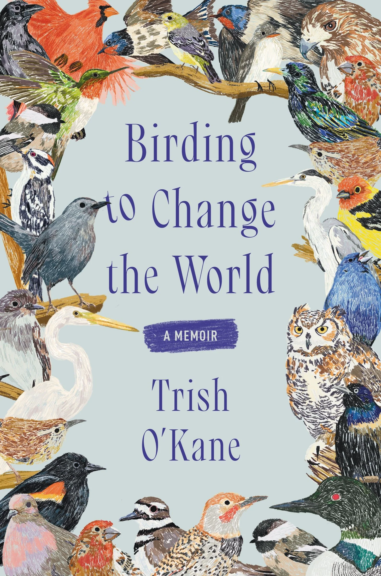 Birding to Change the World - Image 2