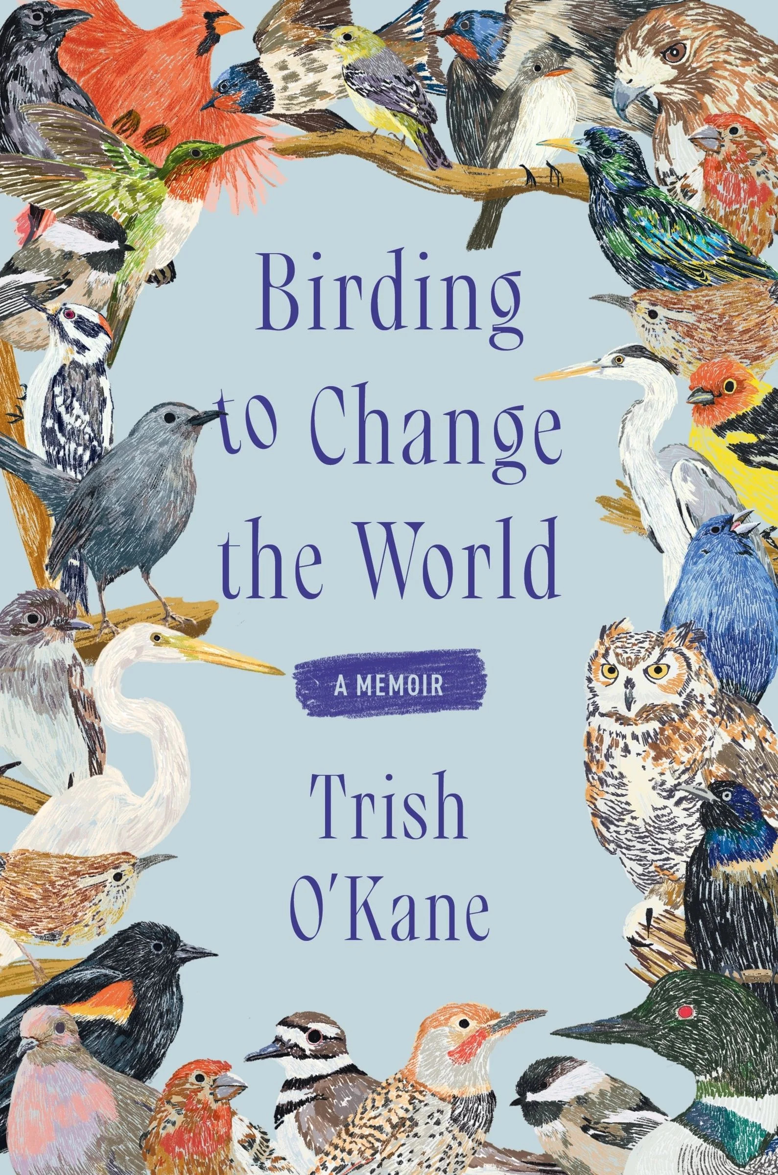 Birding to Change the World - Image 3