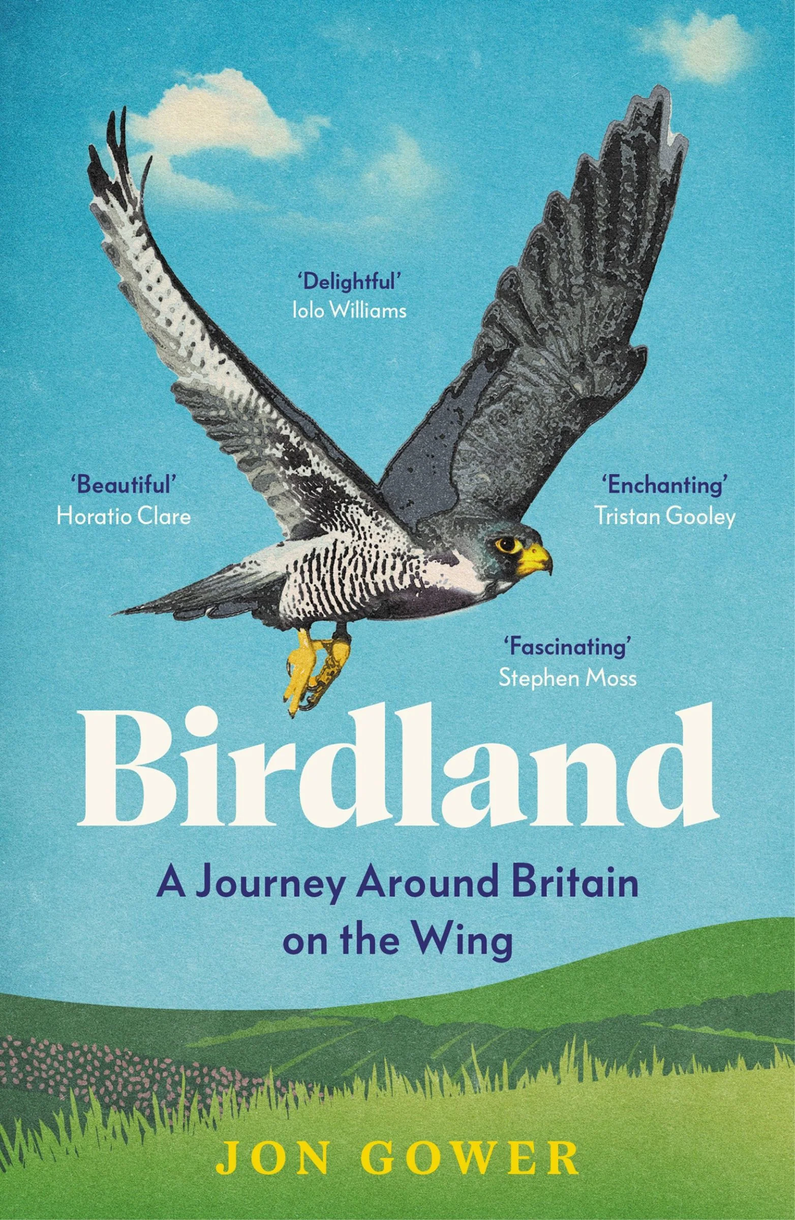 Birdland: A Journey Around Britain on the Wing - Image 3