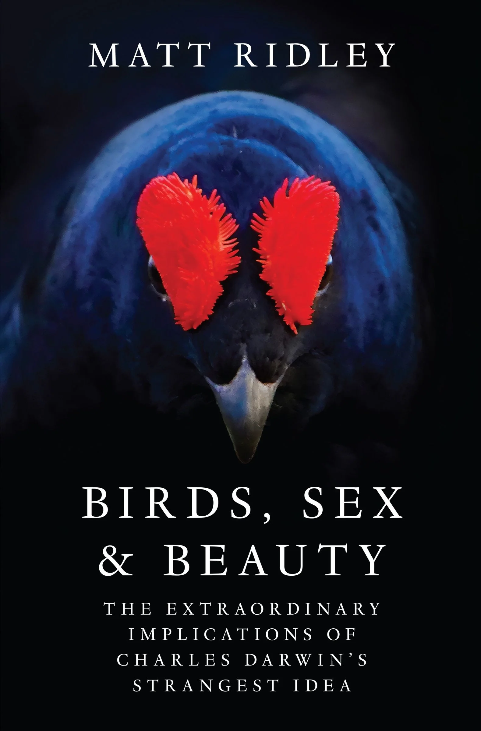 Birds, Sex and Beauty - Image 2