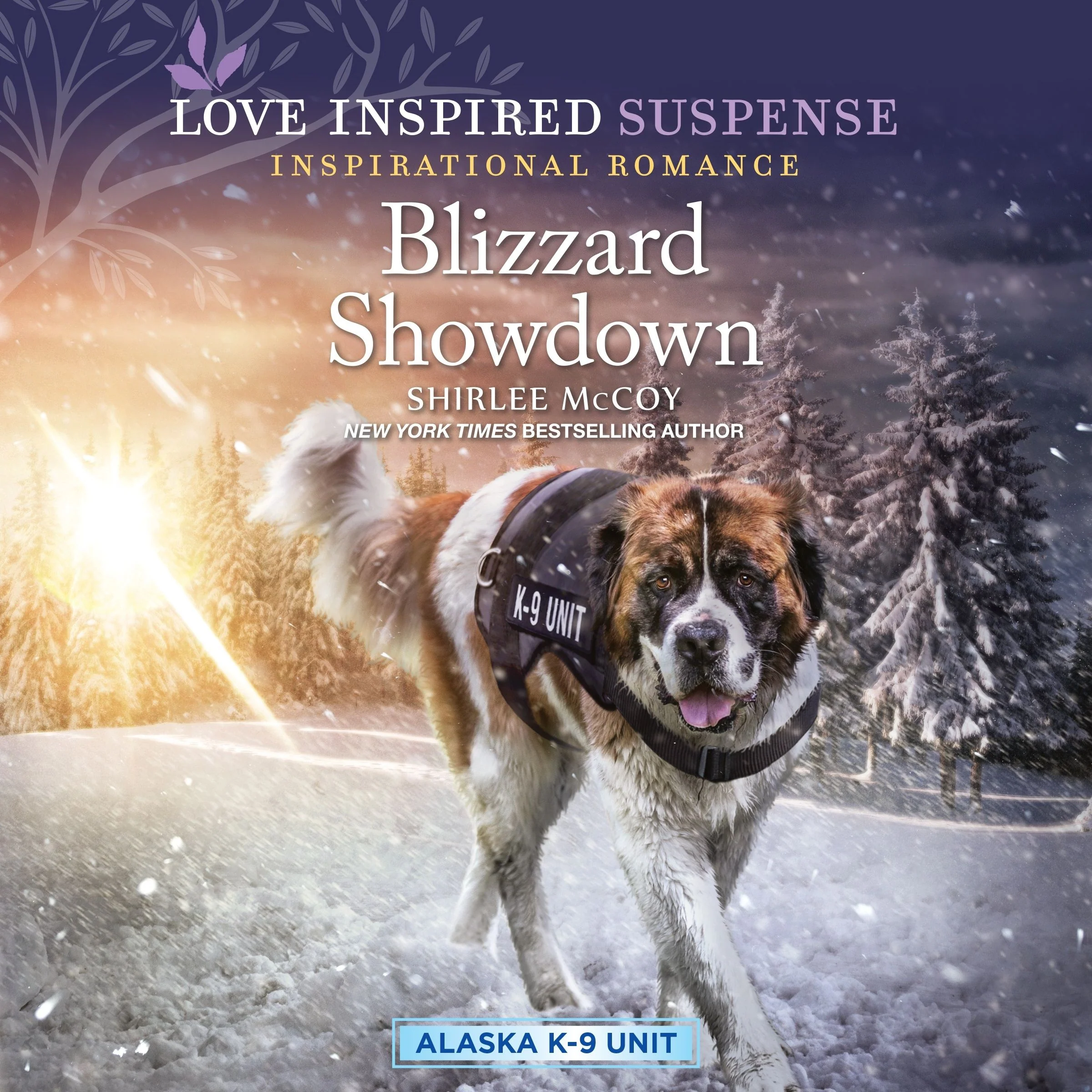 Blizzard Showdown - Image 2