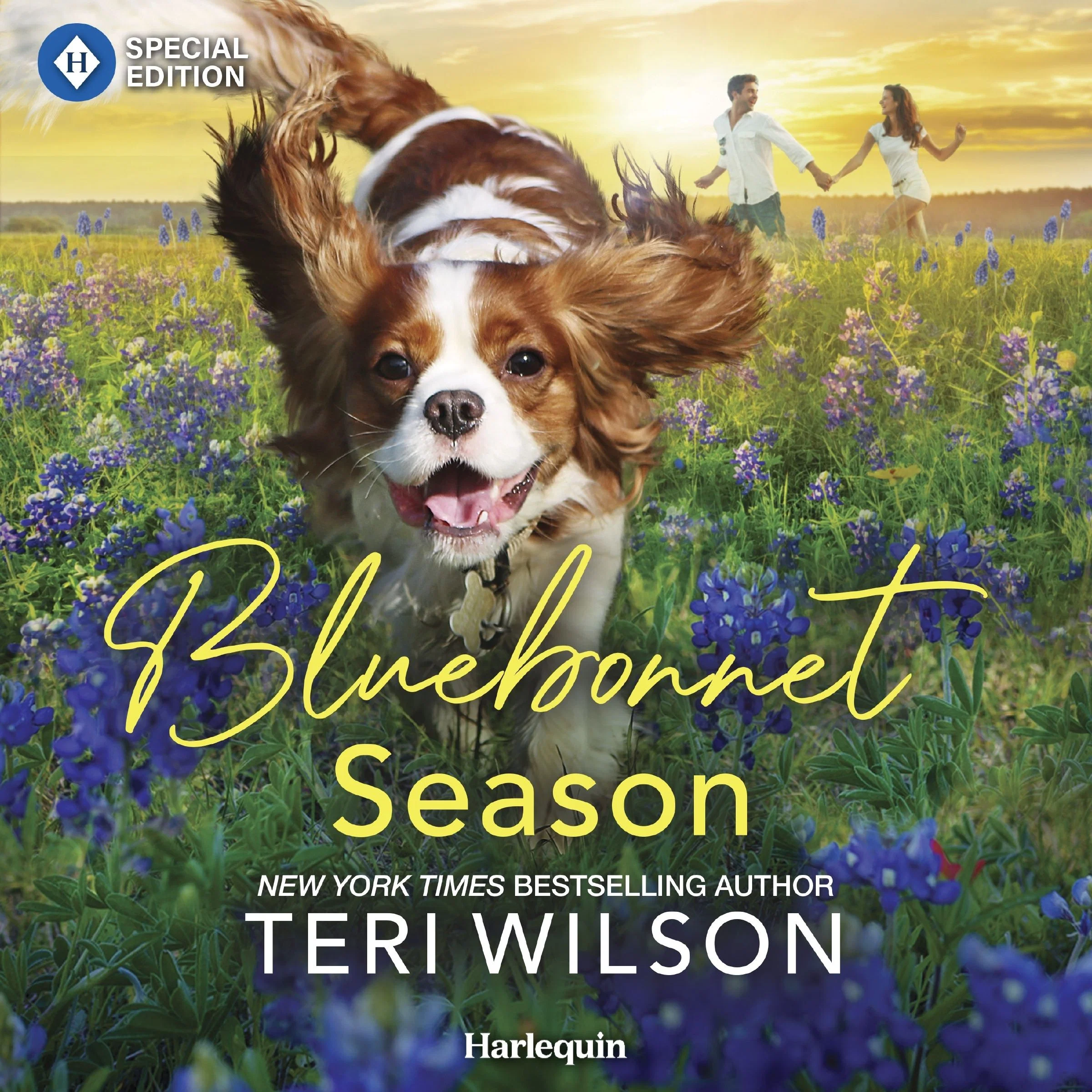 Bluebonnet Season - Image 2