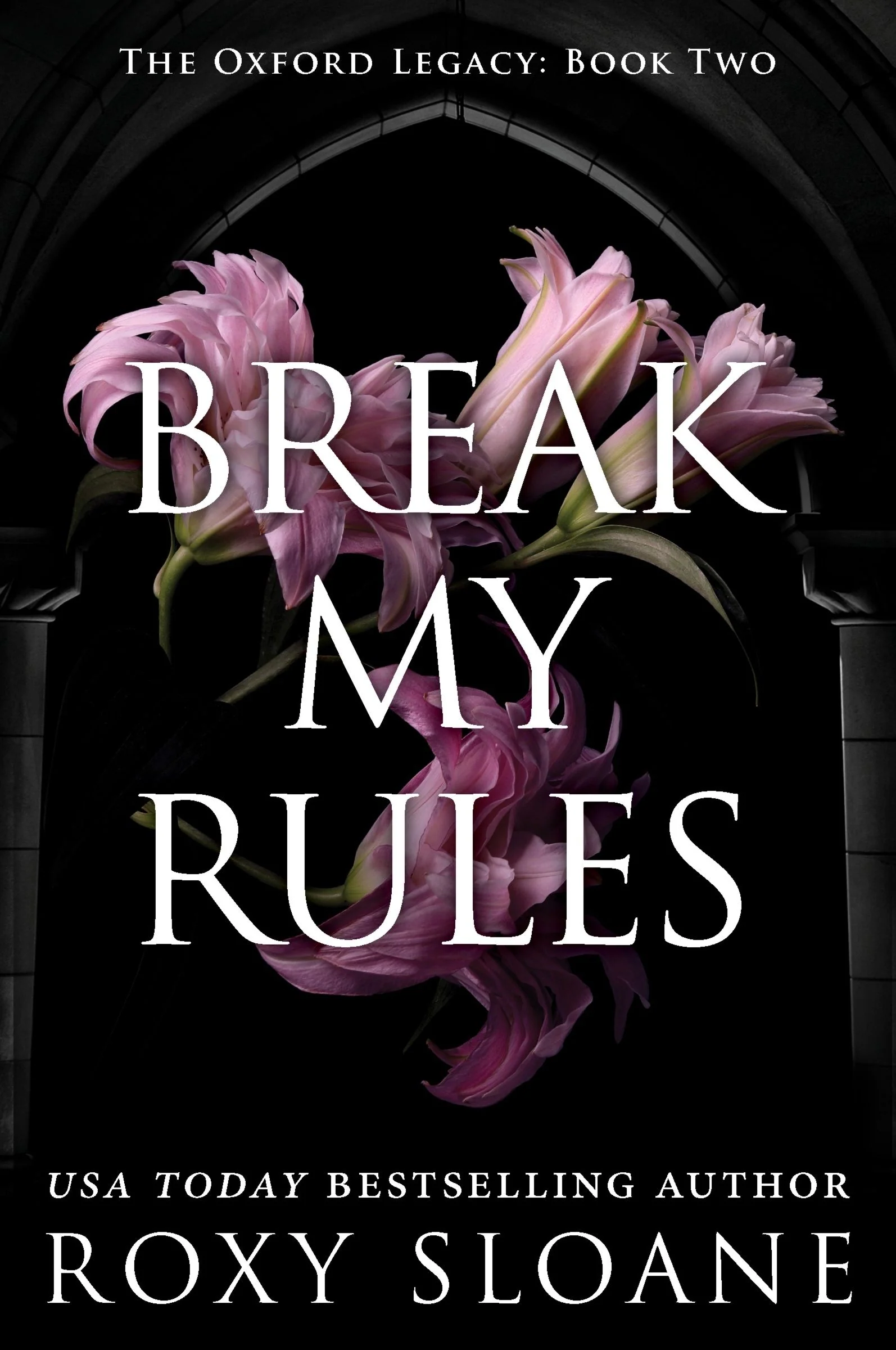 Break My Rules - Image 2