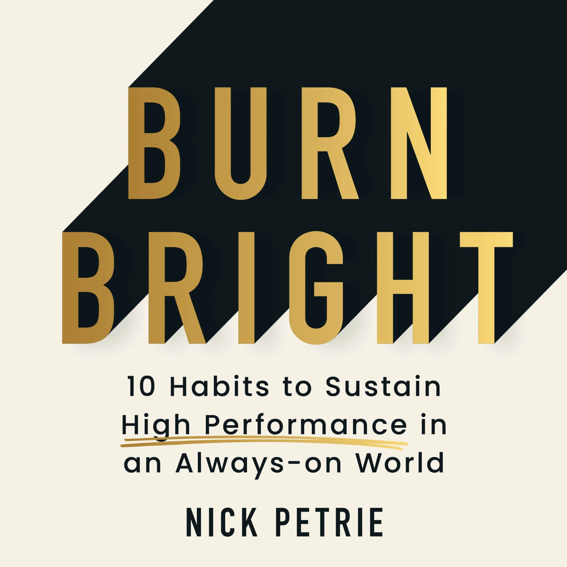 Burn Bright: 10 Habits to Sustain High Performance in an Always-on World - Image 3
