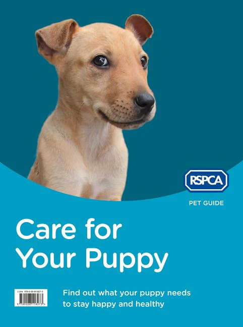 Care for Your Puppy - Image 2