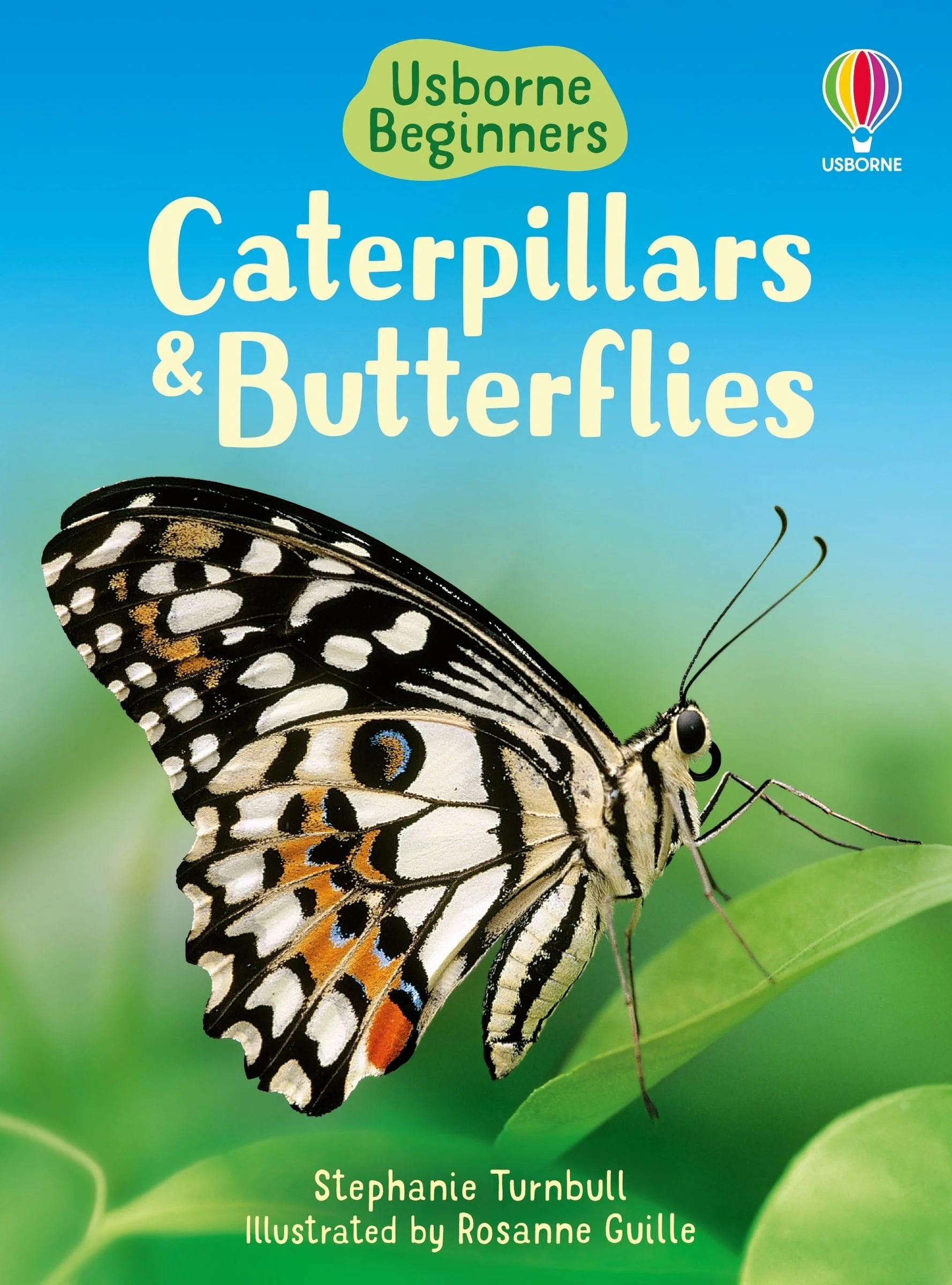 Caterpillars and Butterflies (Usborne Beginners) - Image 2