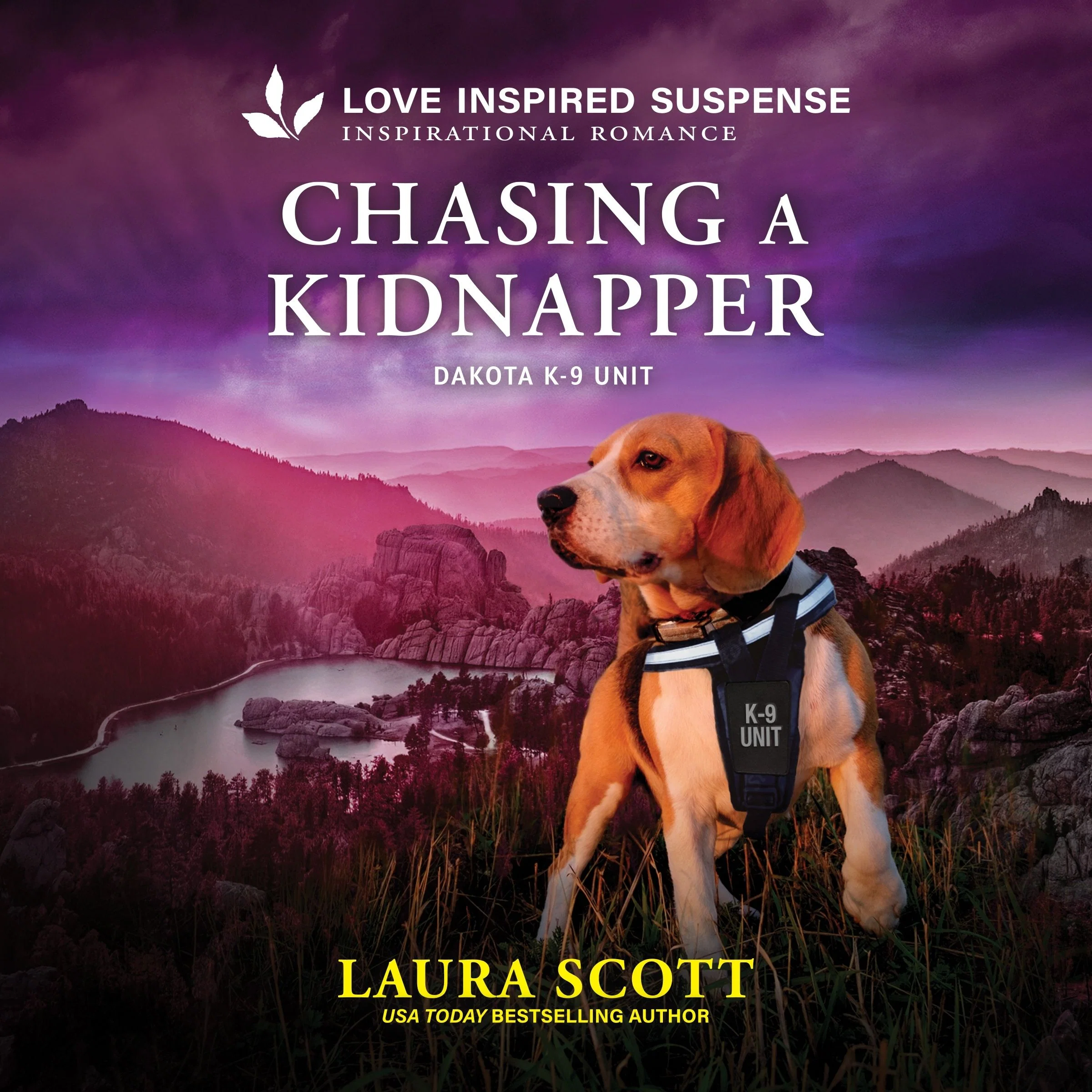 Chasing a Kidnapper - Image 2