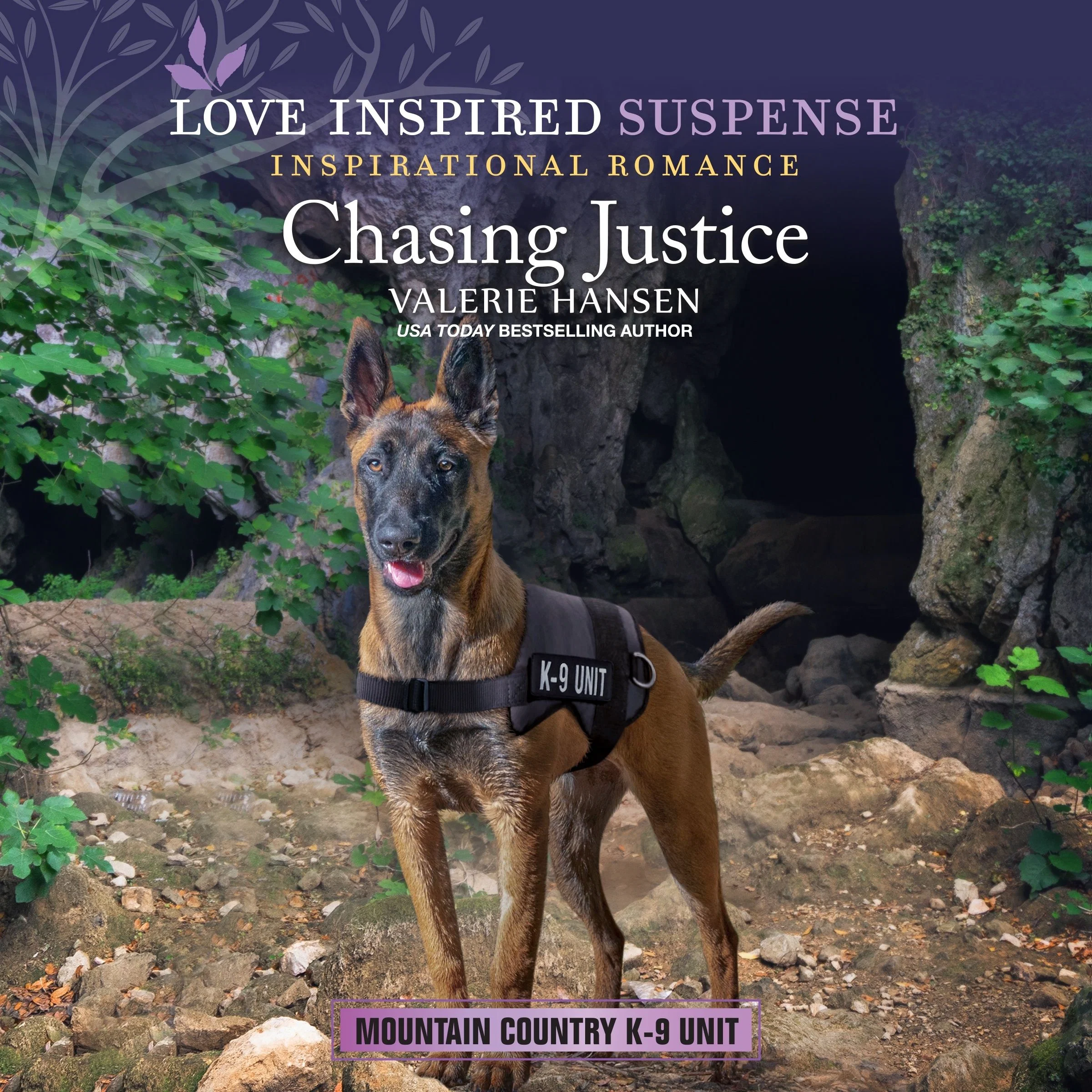 Chasing Justice - Image 2