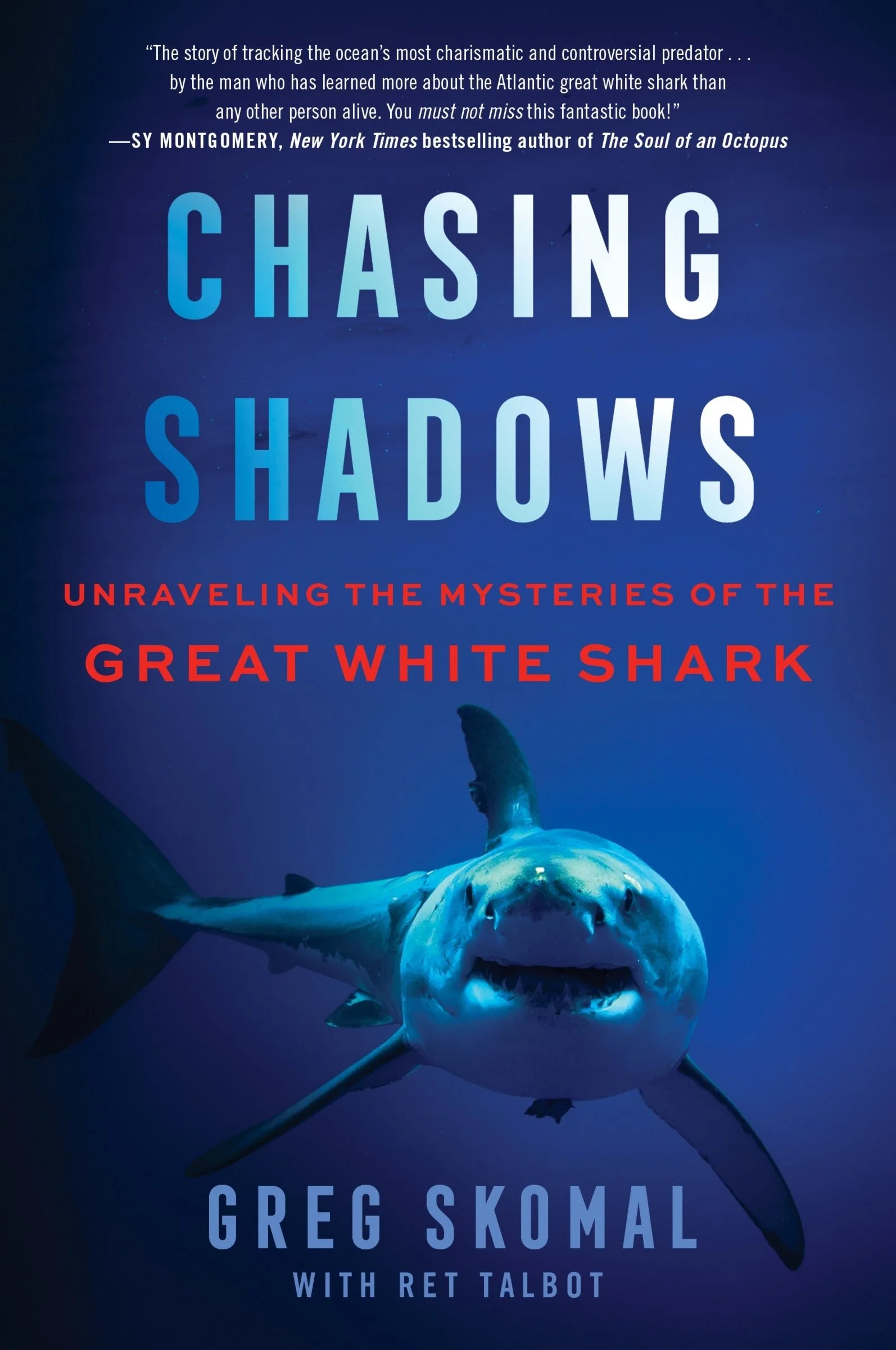 Chasing Shadows - Image 2