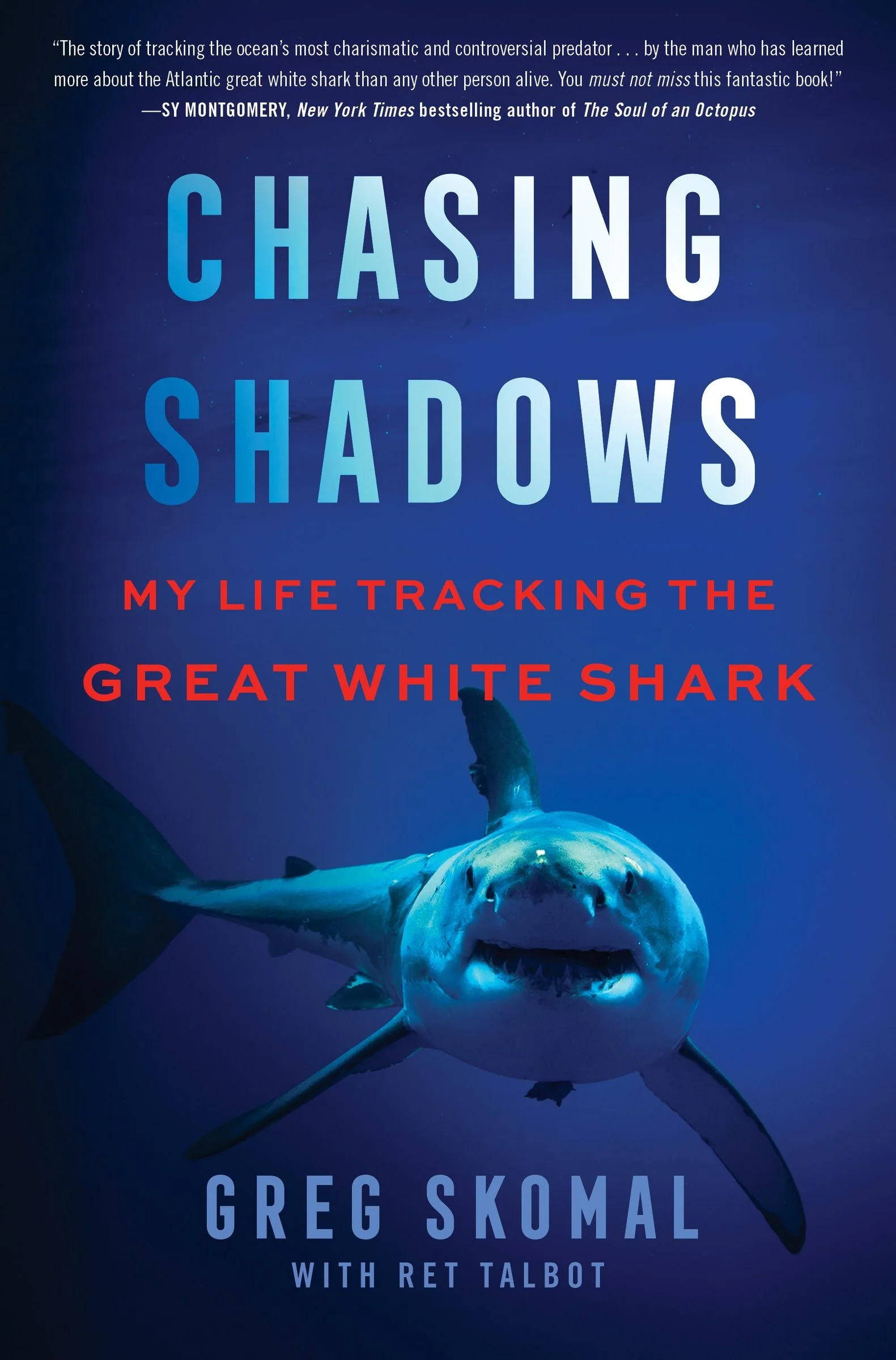 Chasing Shadows - Image 4