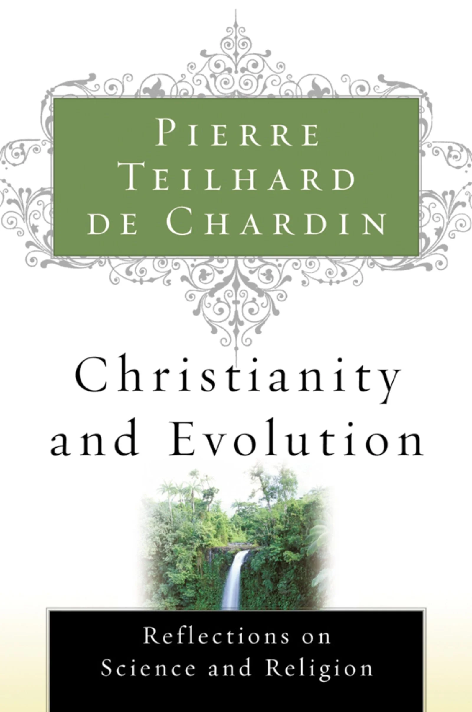 Christianity And Evolution - Image 2