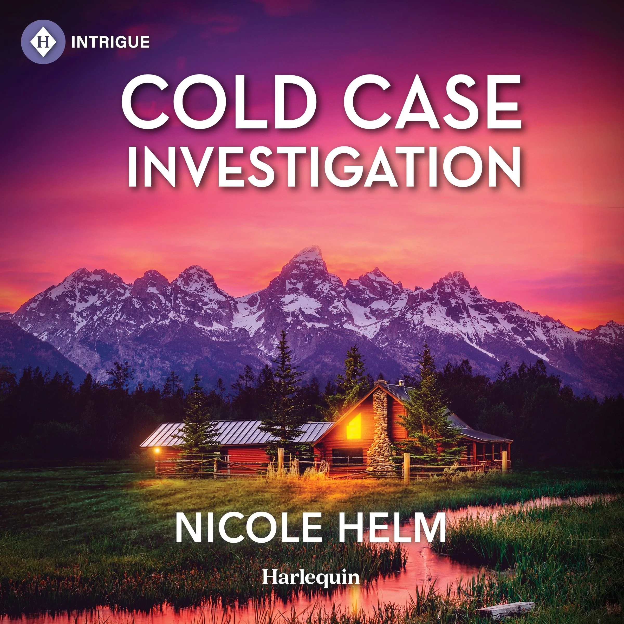 Cold Case Investigation - Image 2