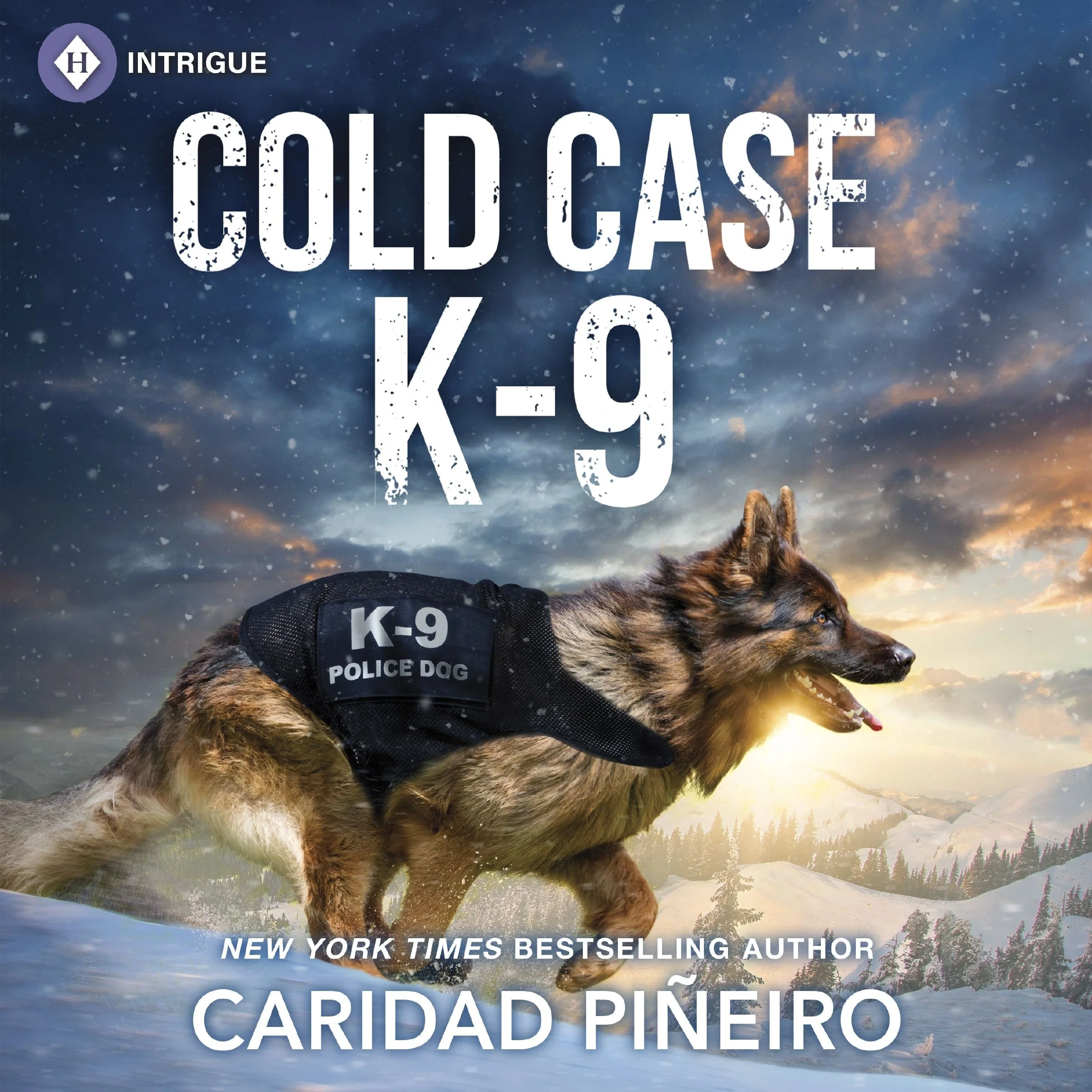 Cold Case K-9 - Image 2