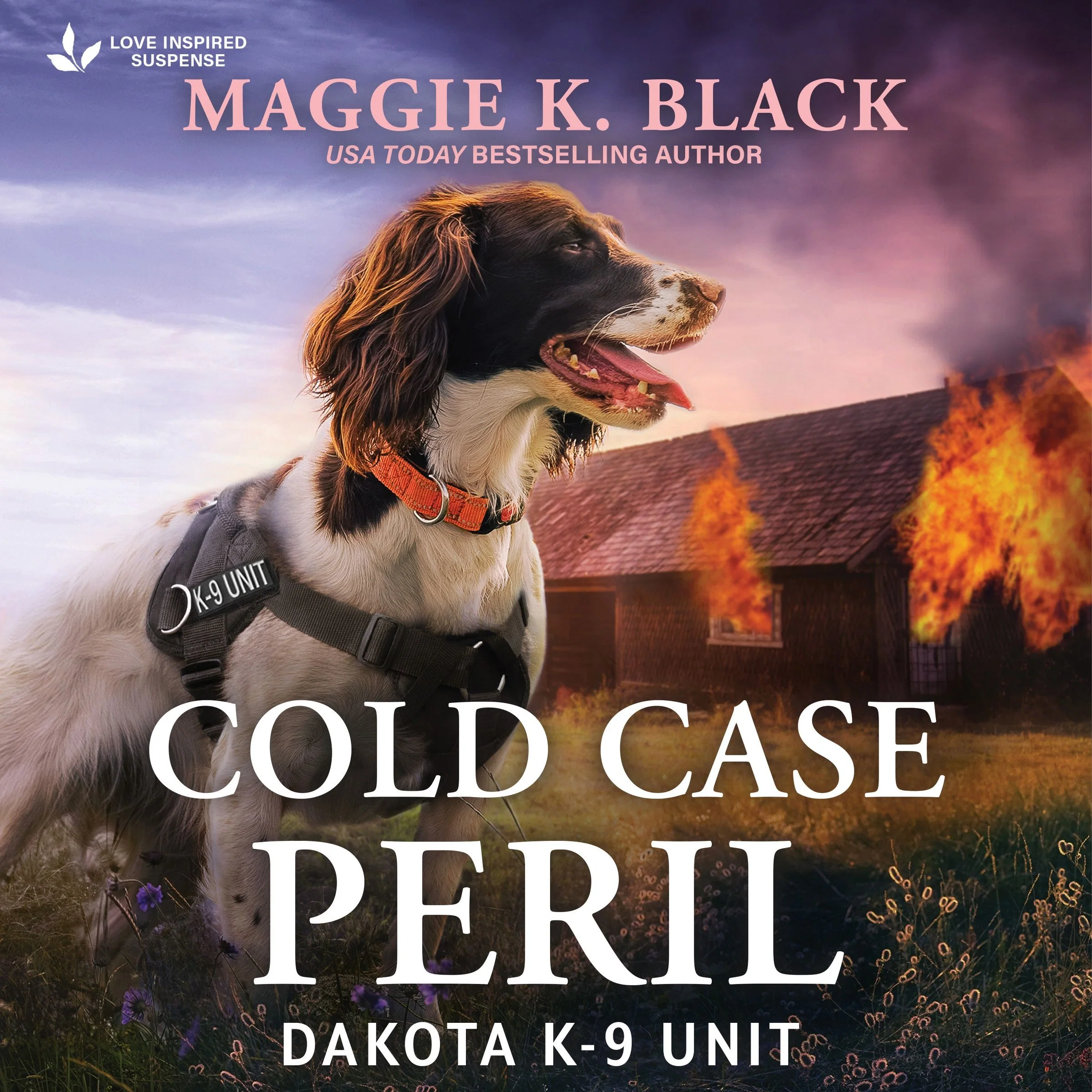 Cold Case Peril - Image 2