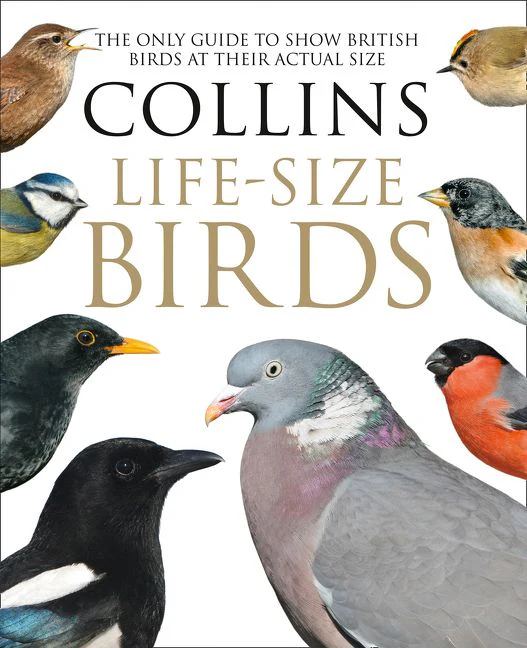 Collins Life-Size Birds - Image 2