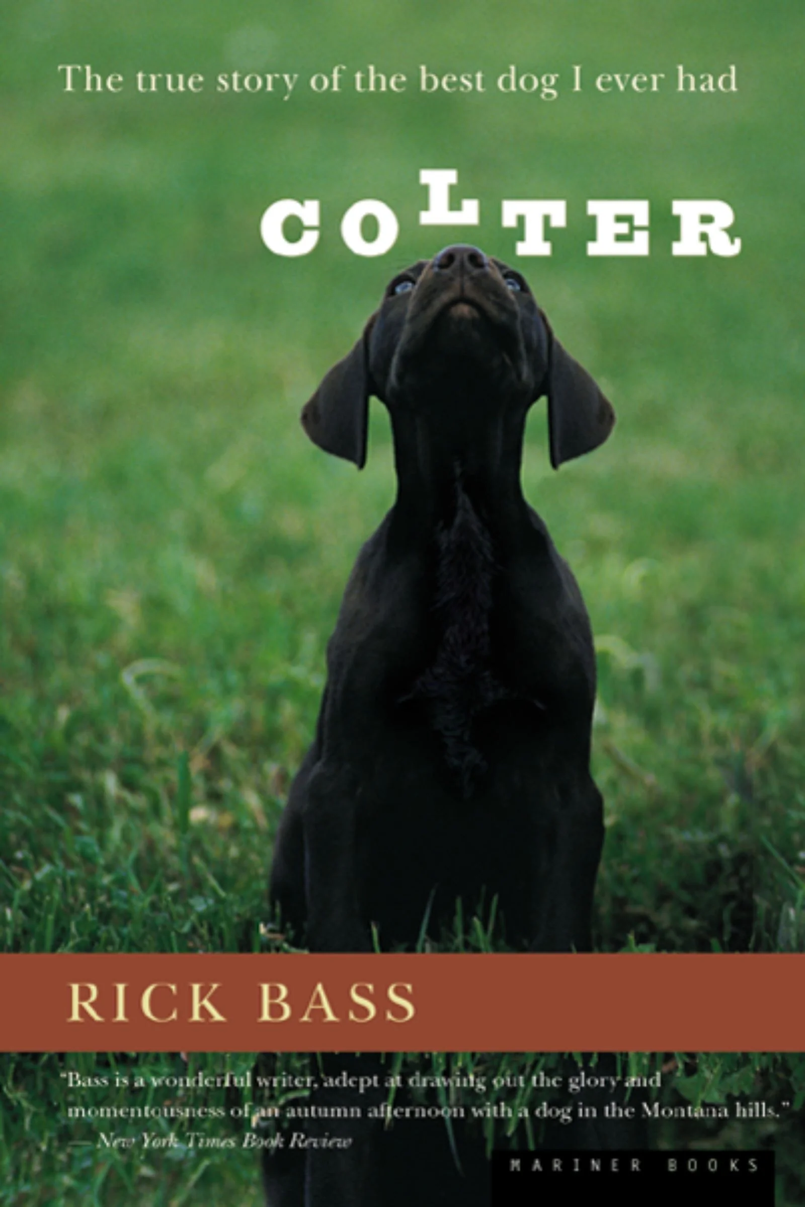 Colter - Image 2