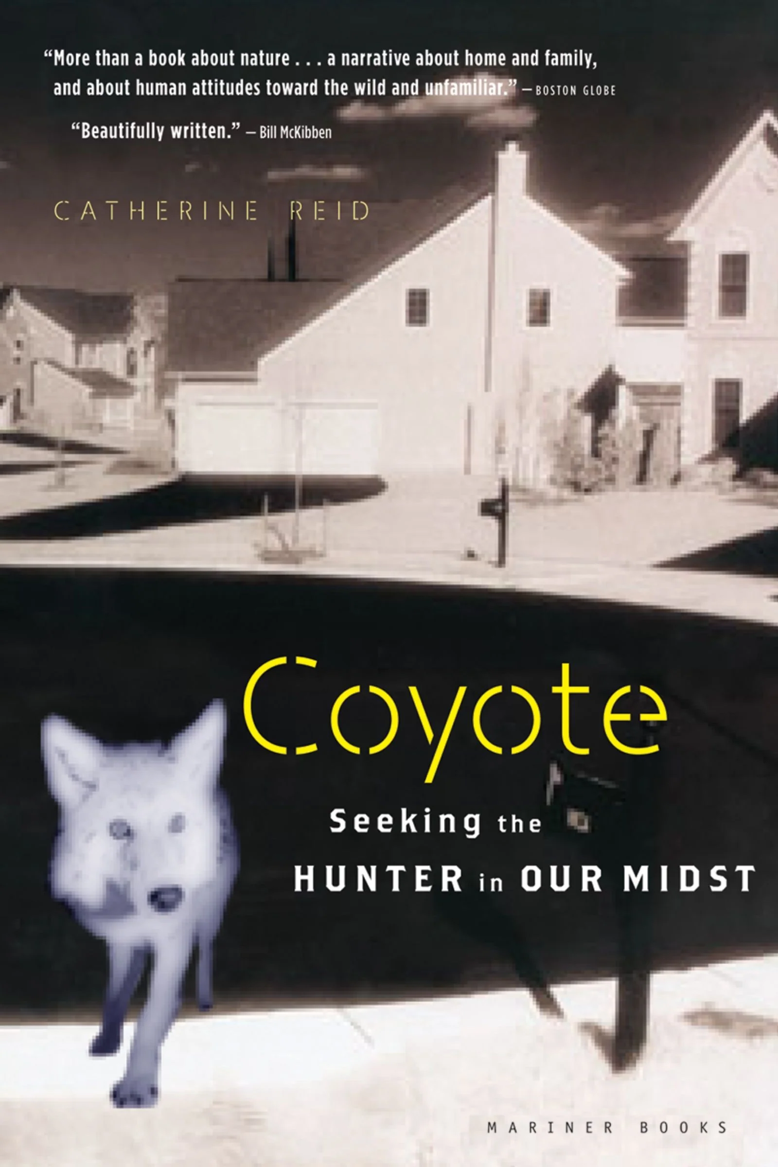 Coyote - Image 2
