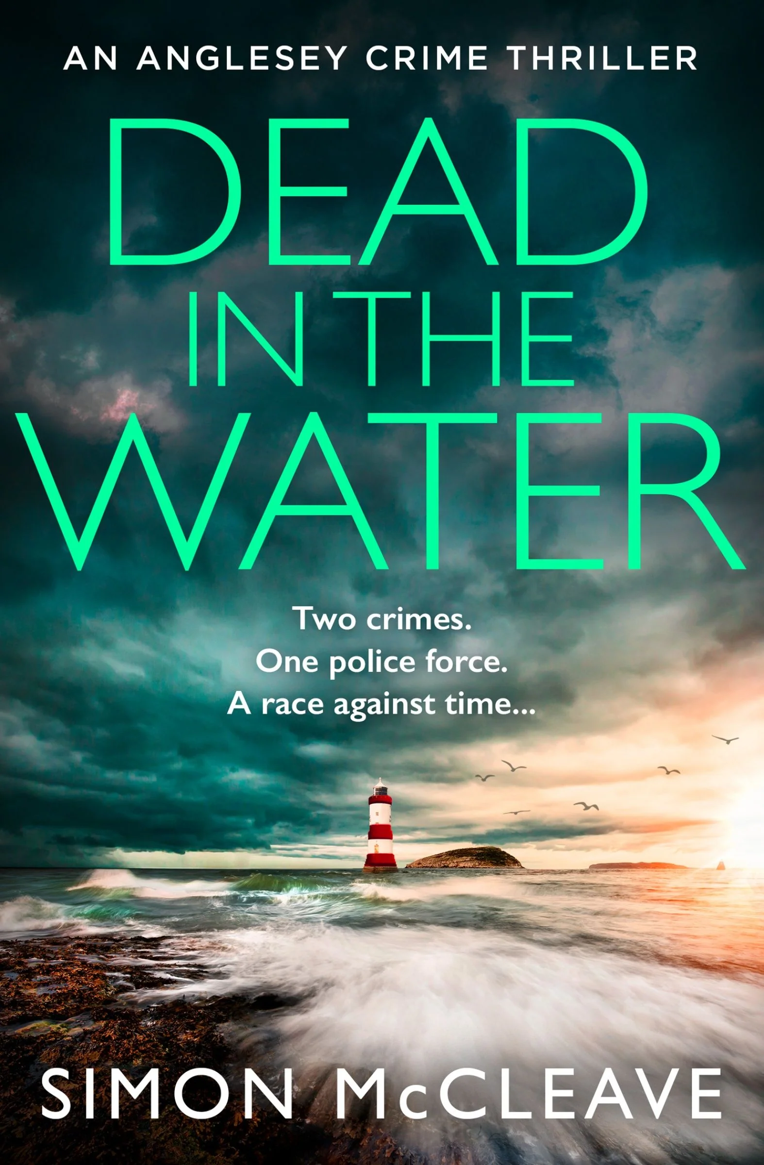 Dead in the Water - Image 2